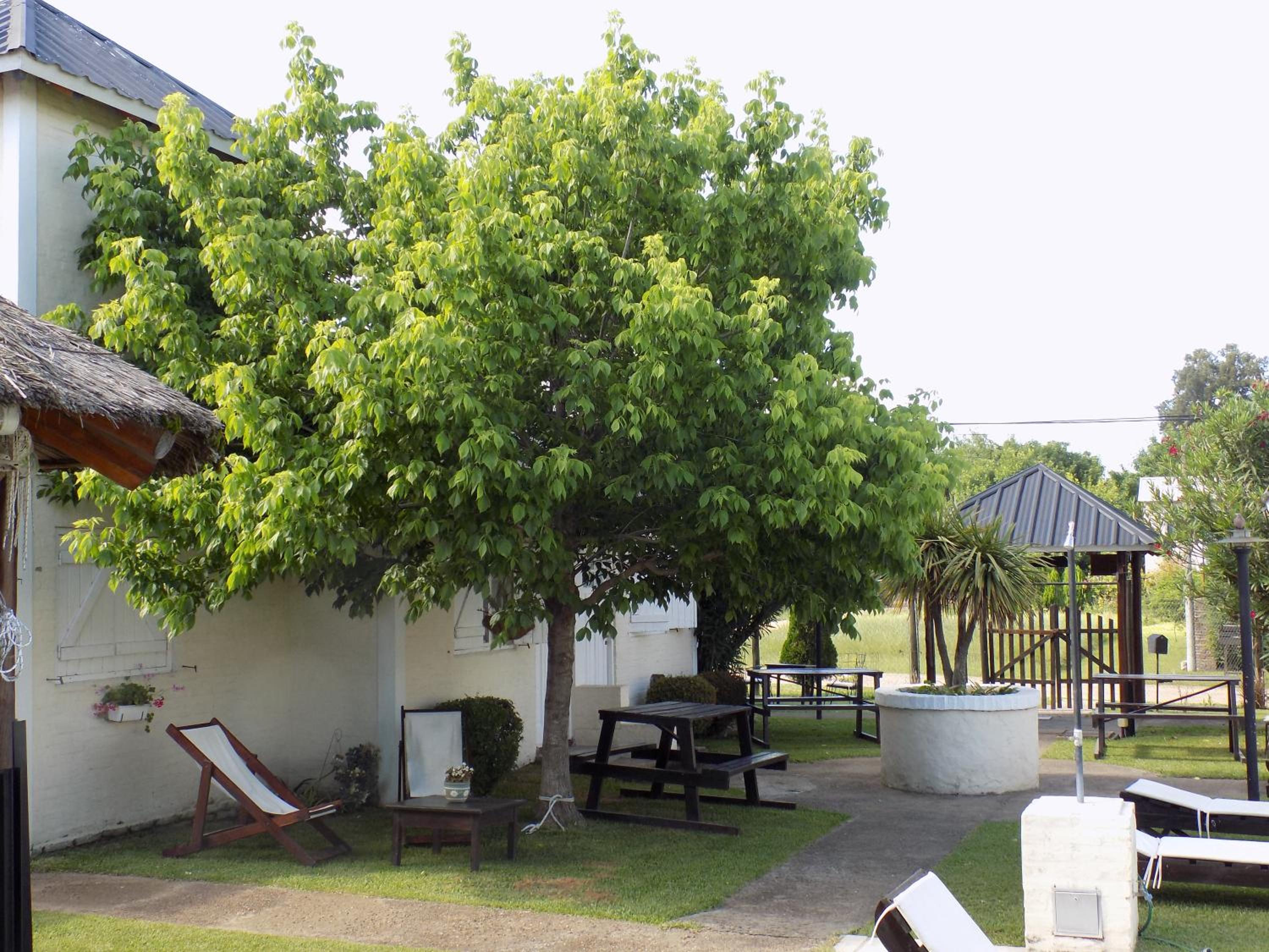 Altos de Unzué