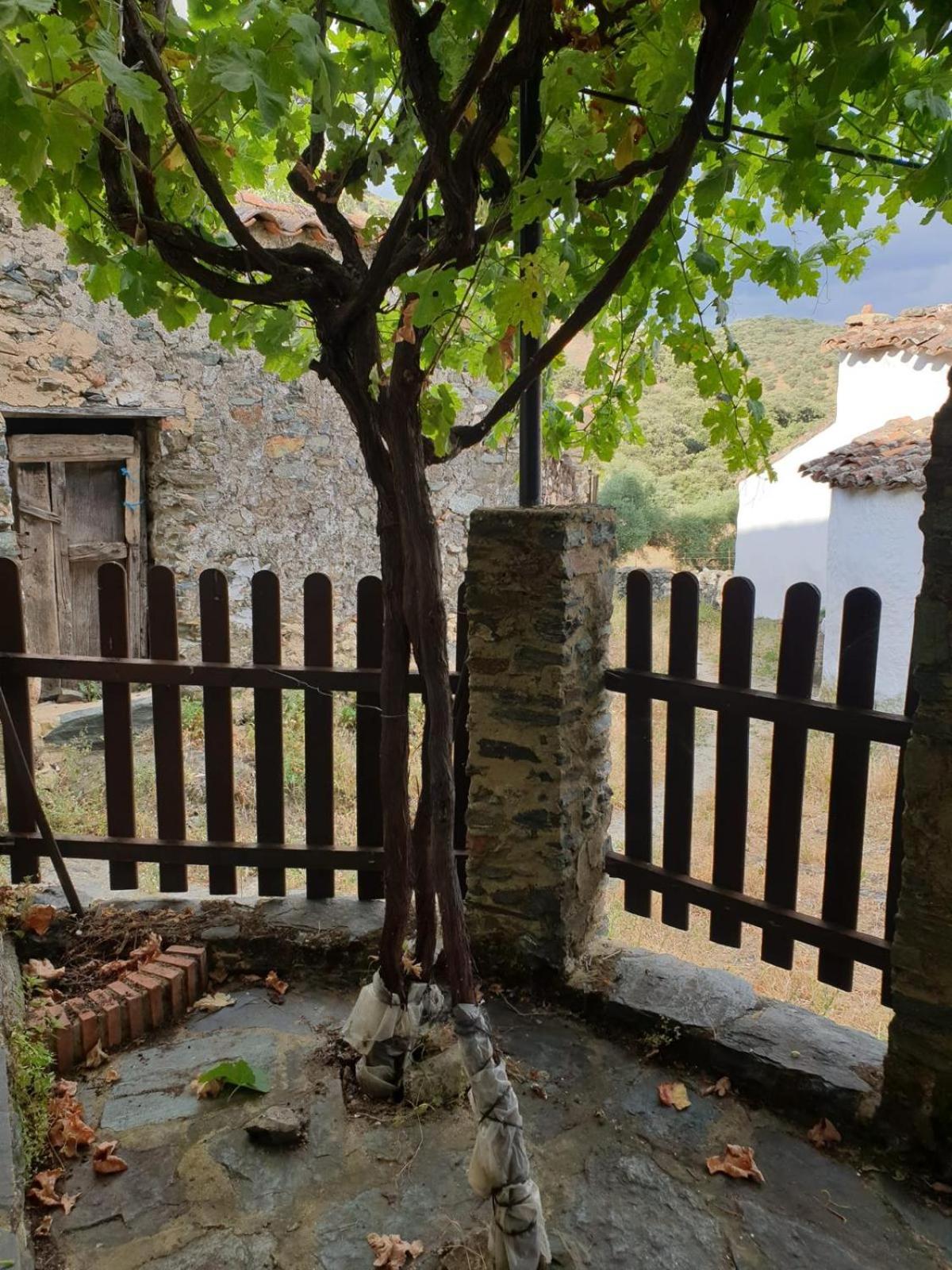 Casa Tía Isidra