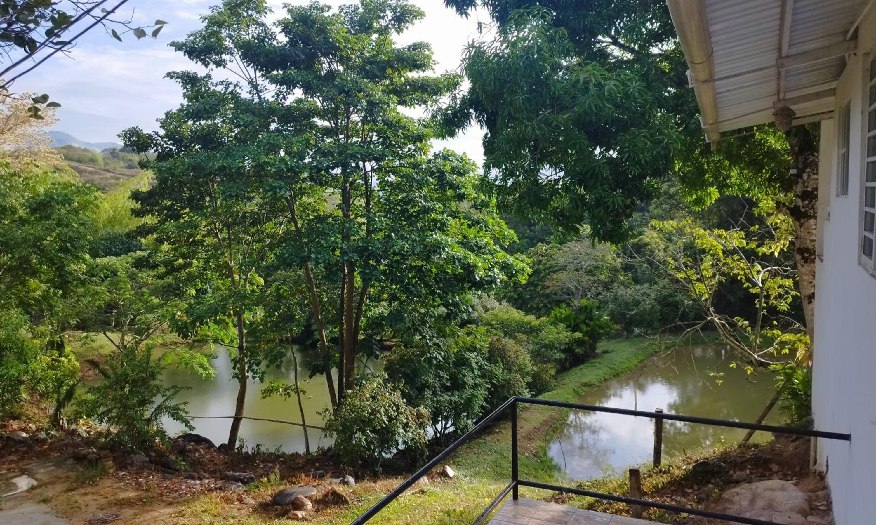 Birding Colombia Lodge cerca a Ibagué