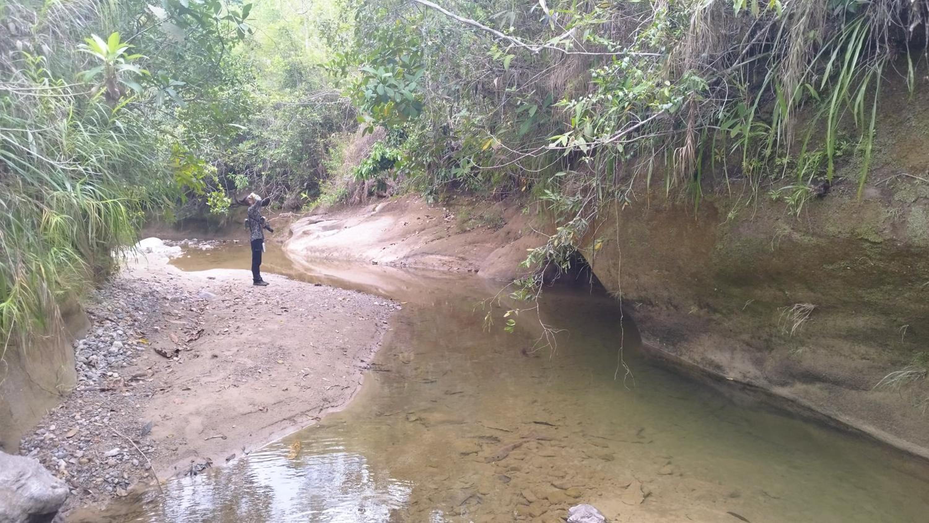 Birding Colombia Lodge cerca a Ibagué