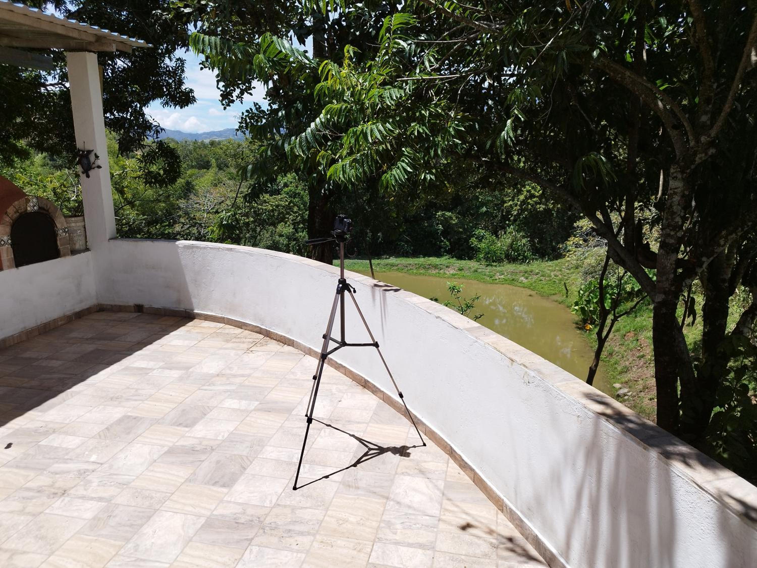 Birding Colombia Lodge cerca a Ibagué