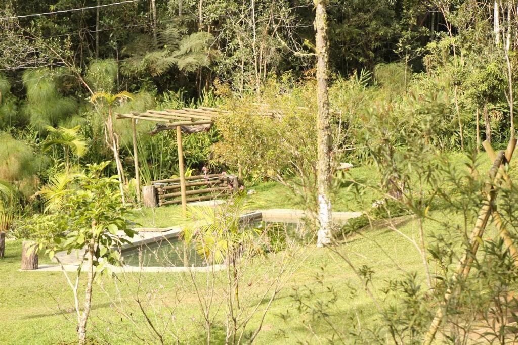 Sitío familiar, piscina com água de nascente!