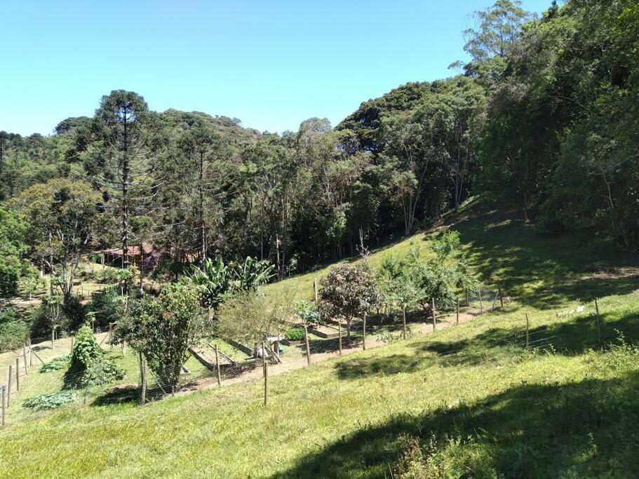 Sitío familiar, piscina com água de nascente!