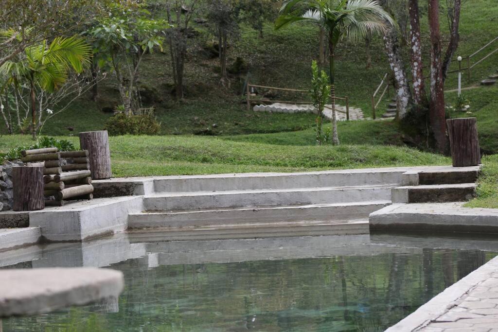 Sitío familiar, piscina com água de nascente!