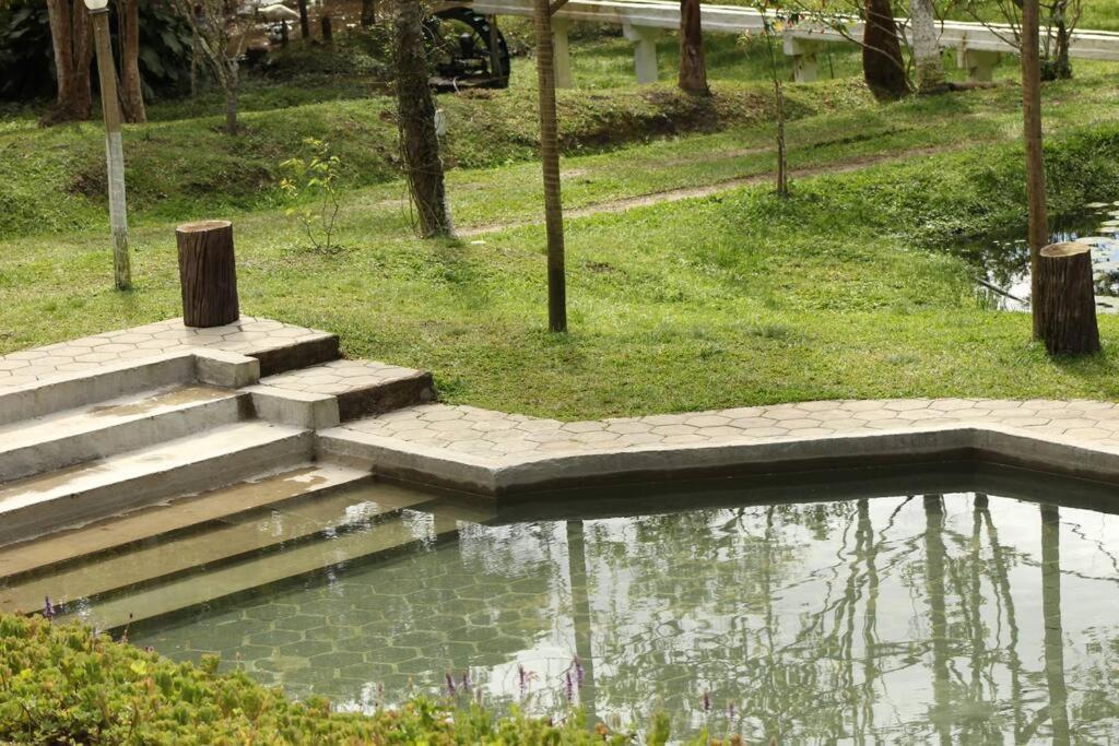 Sitío familiar, piscina com água de nascente!