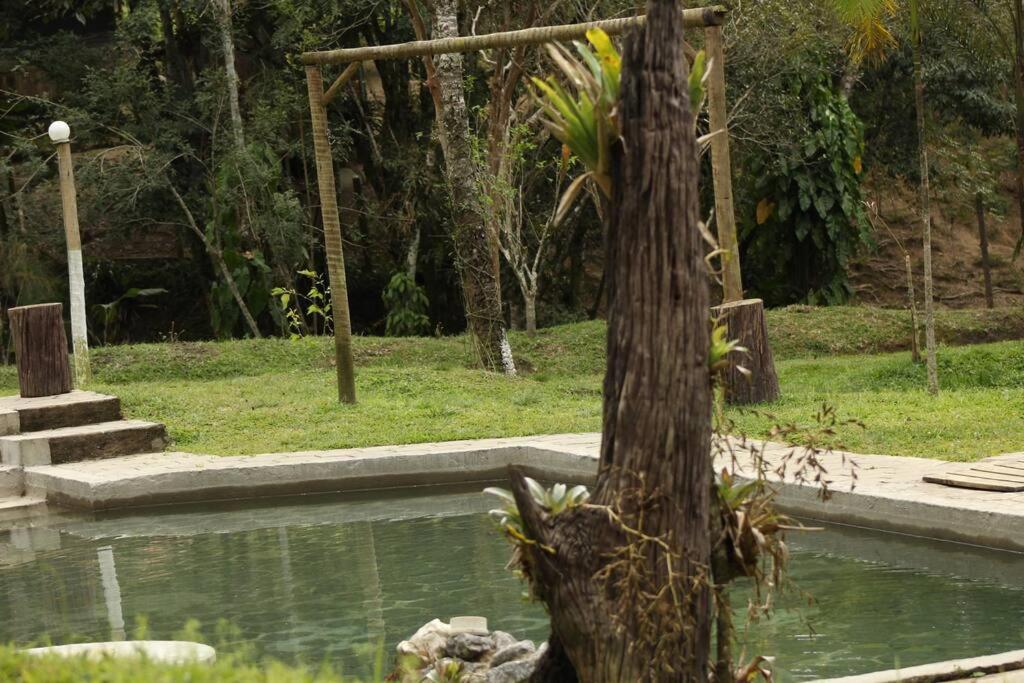 Sitío familiar, piscina com água de nascente!