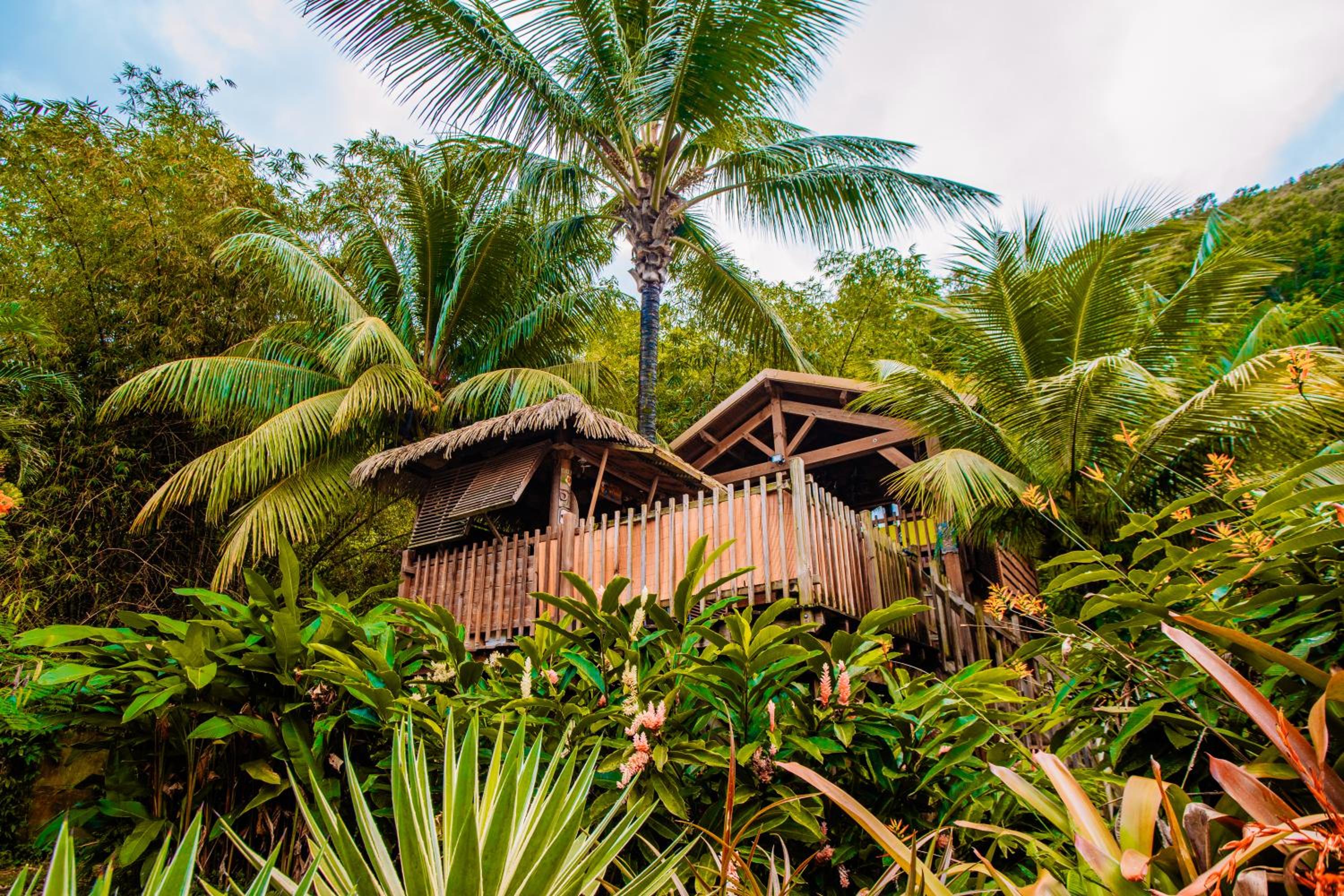 West Indies Cottage, cottages haut de gamme avec piscine, jacuzzi et vue jungle