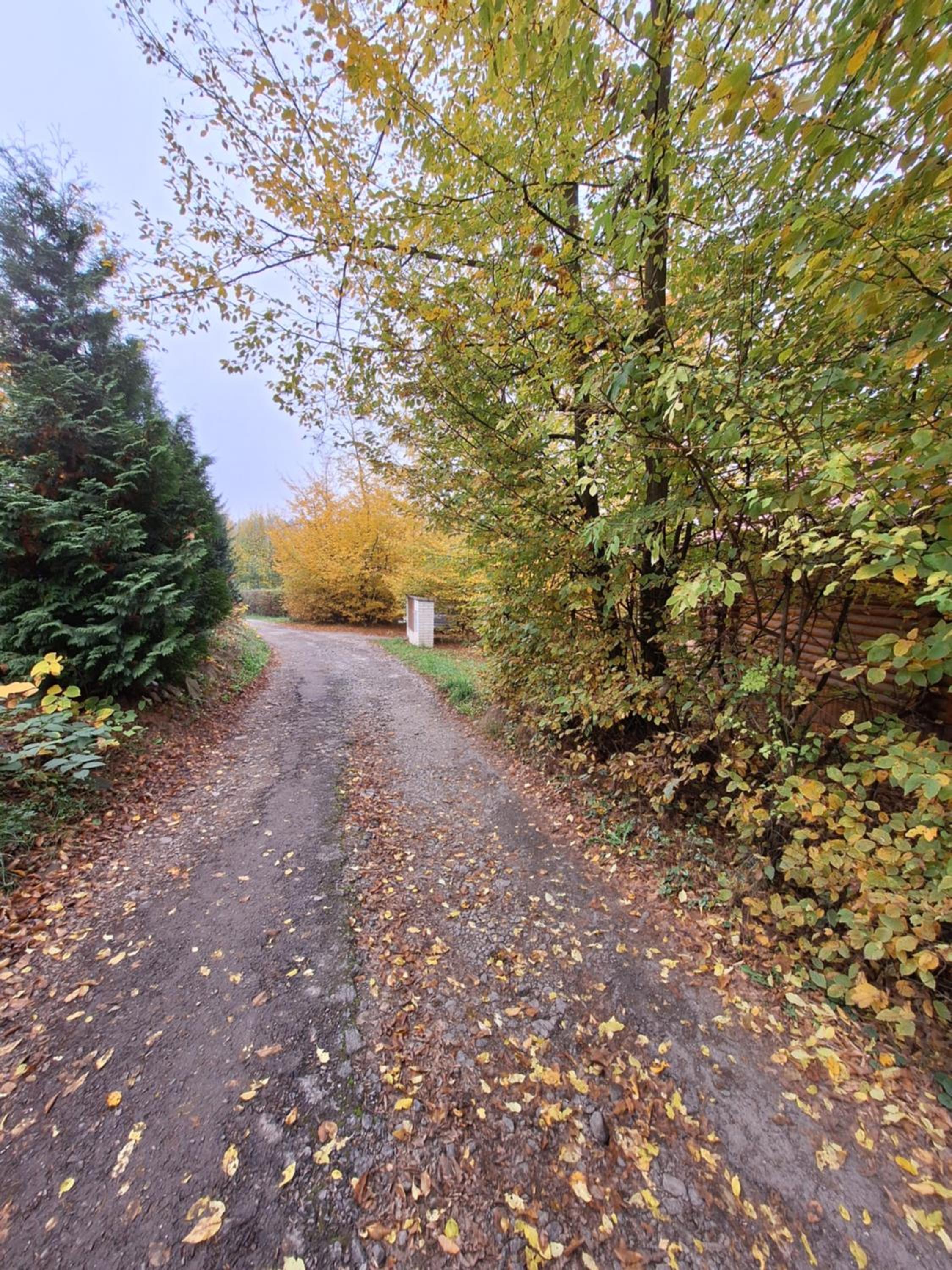 Chata v Jedovnicích u rybníka Olšovec