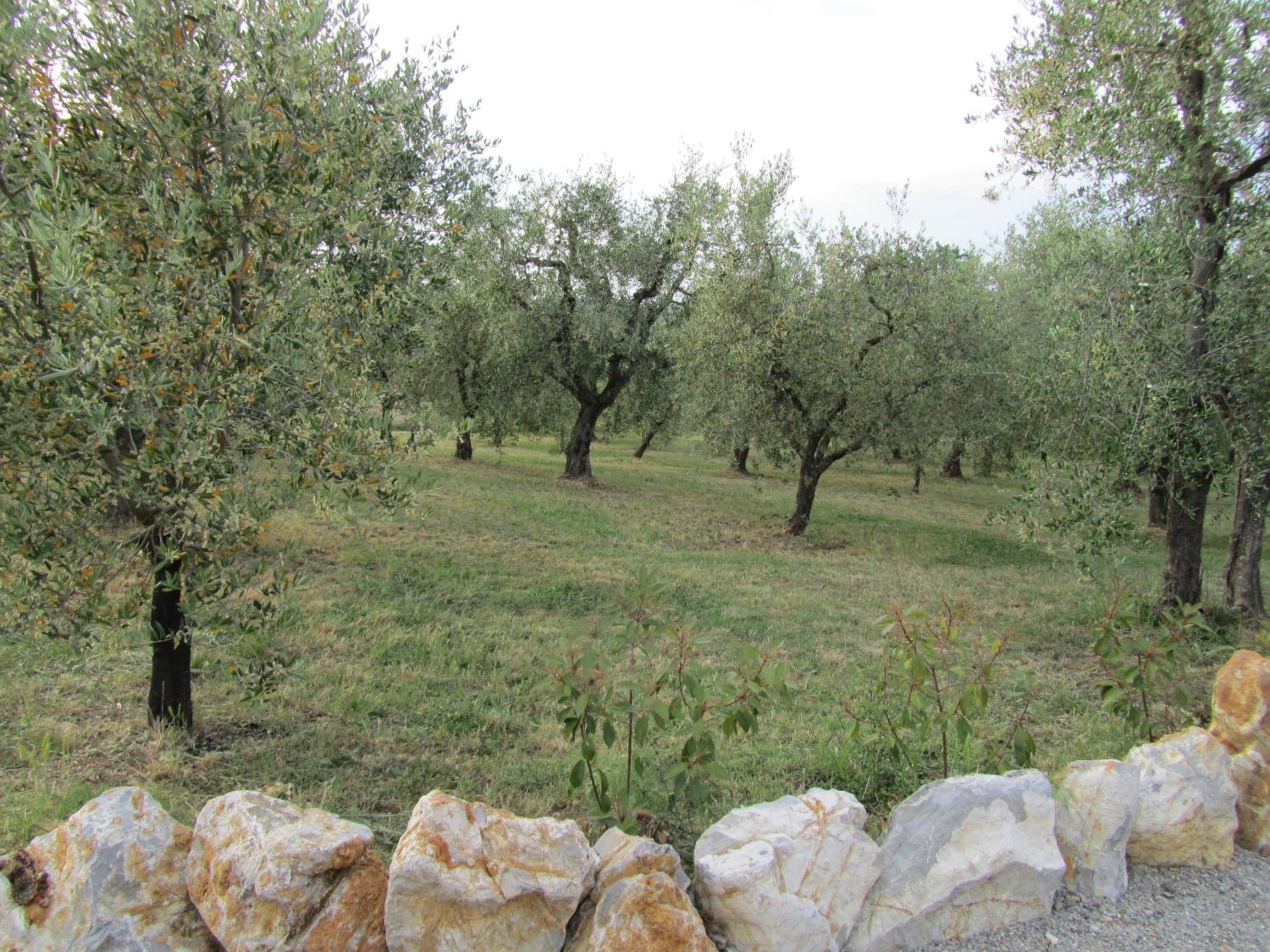 Agriturismo Borghetto Il Montino