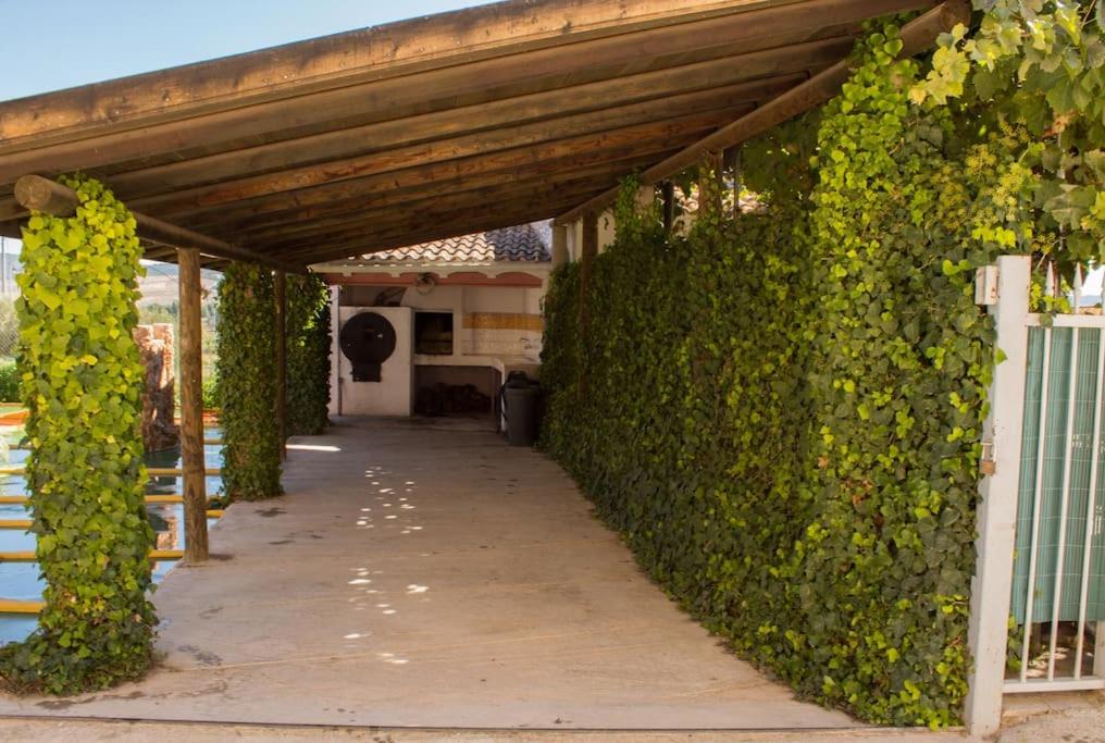 Casas Don Ignacio