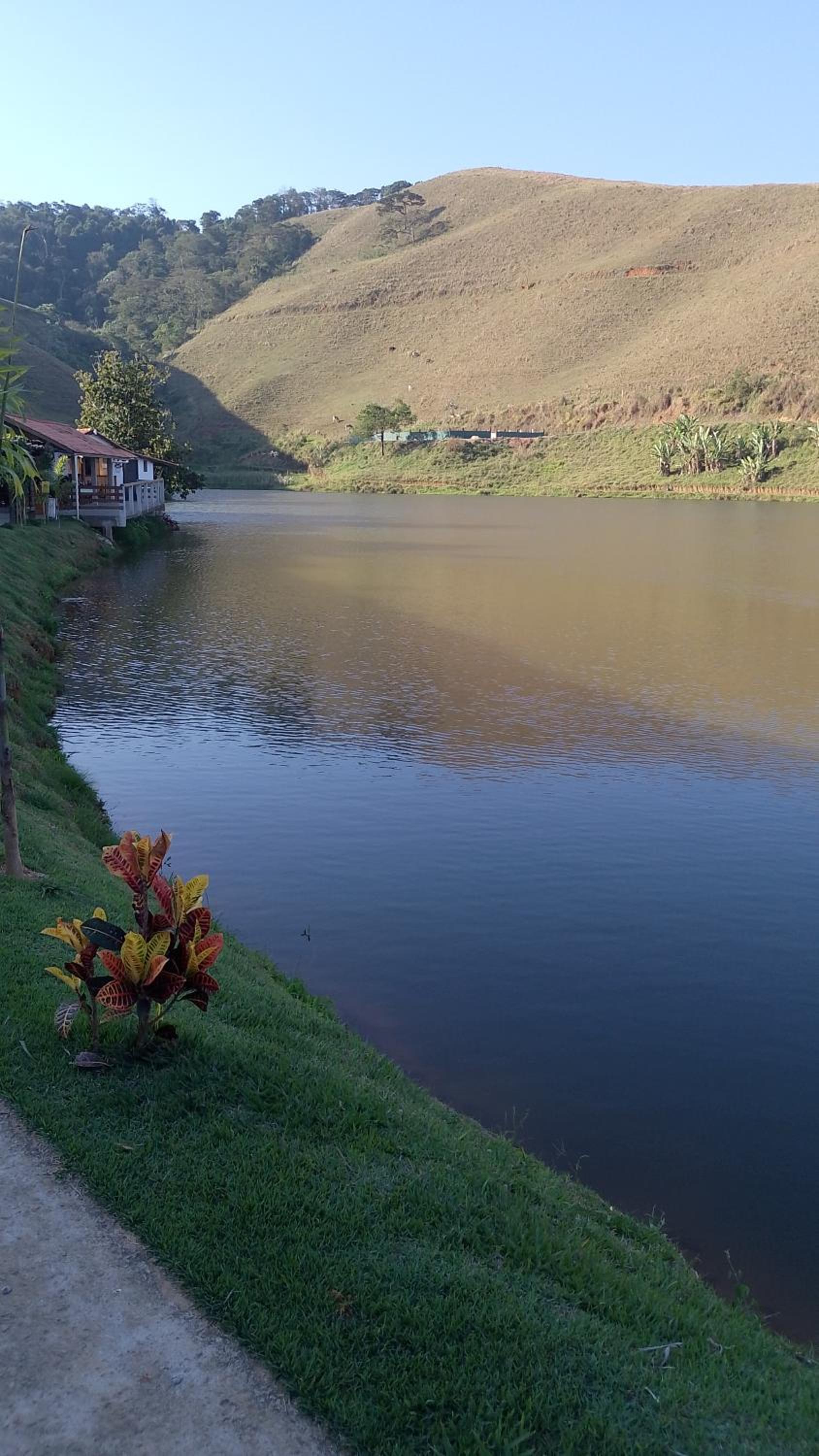 Chalé da mata