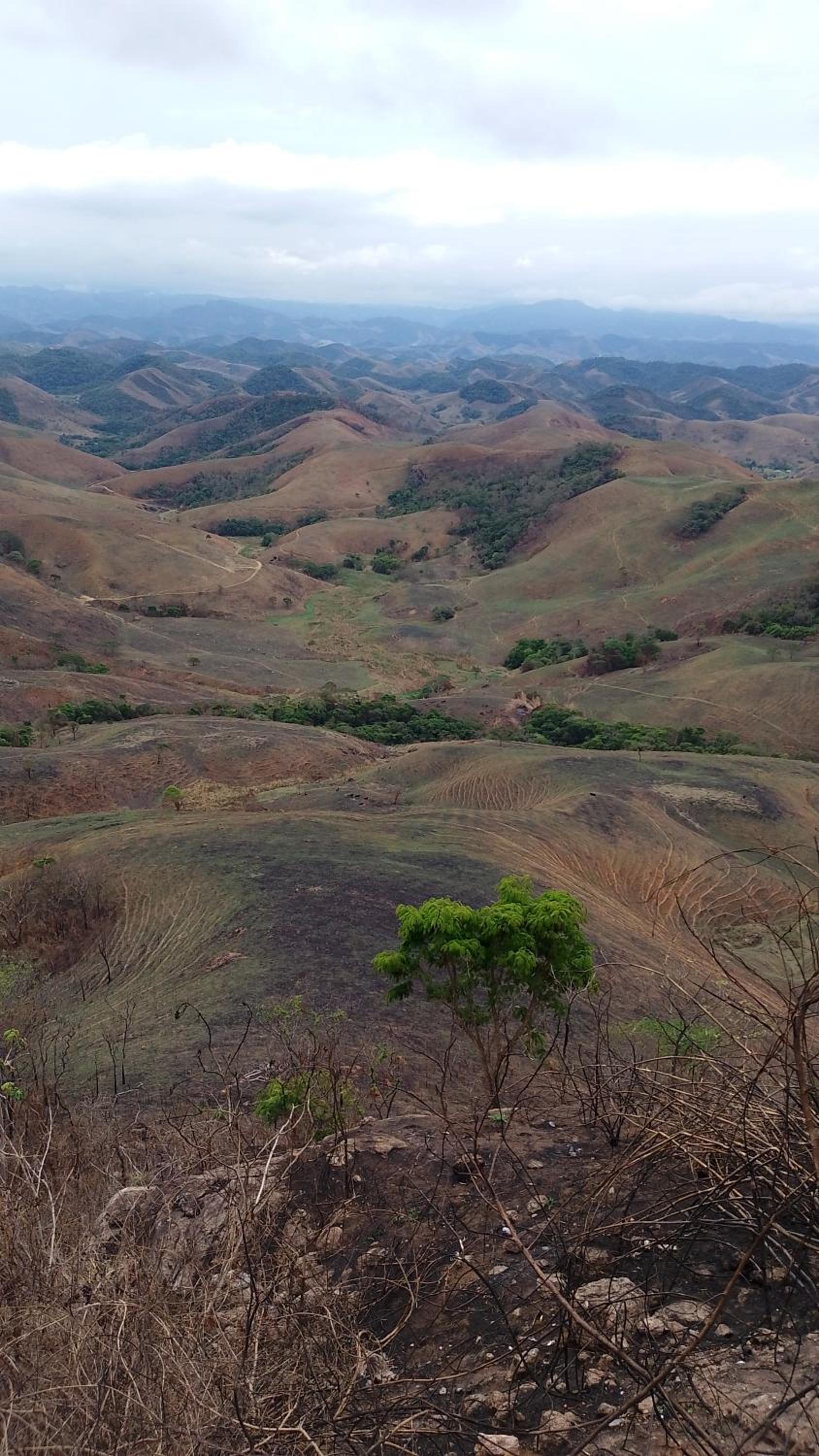 Chalé da mata