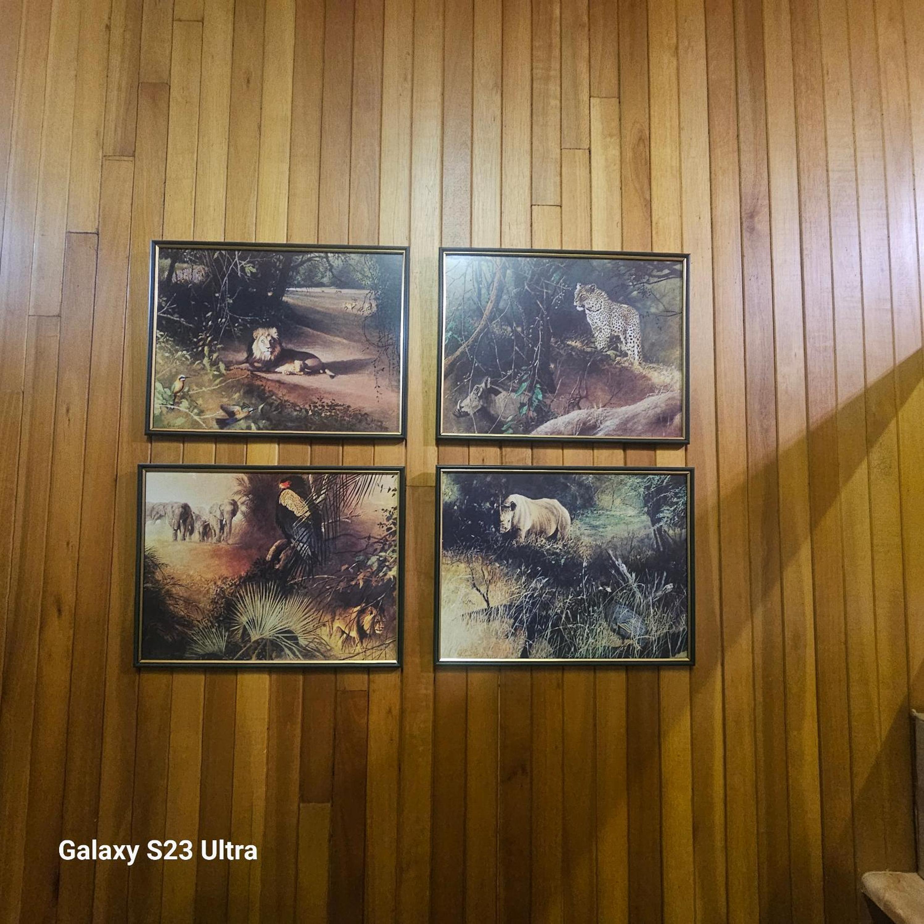 Photo 24