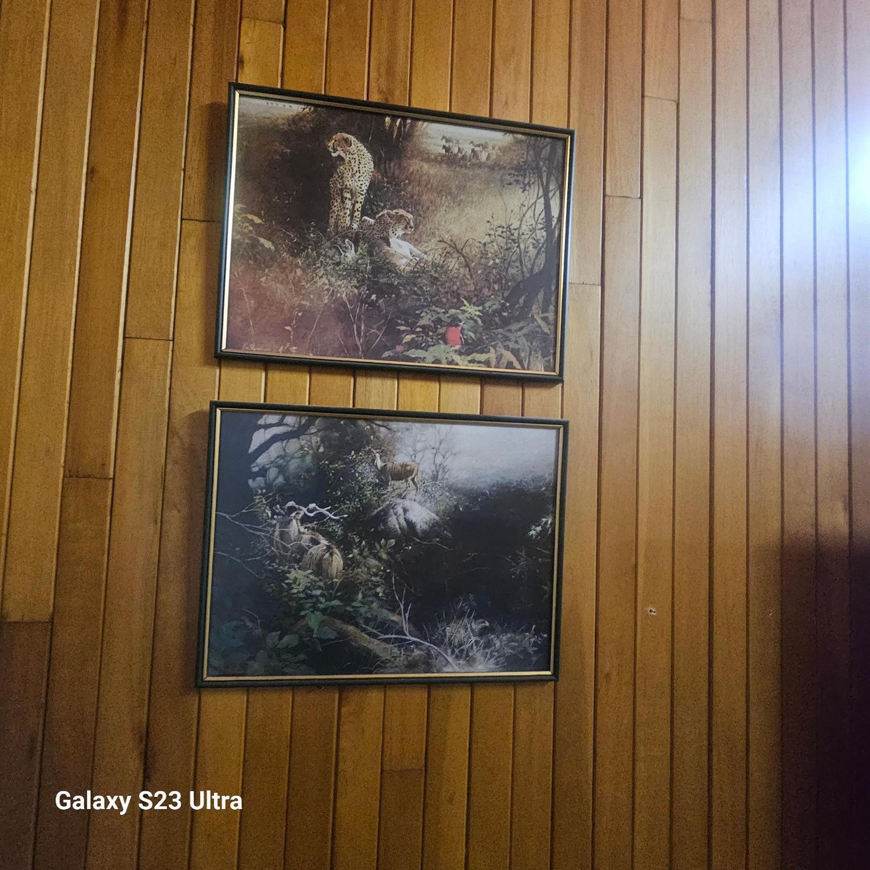Photo 30