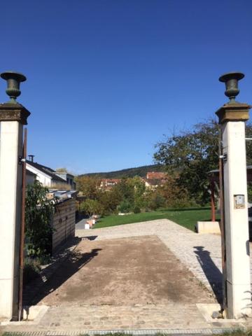 Ruheoase im Kirschblütental