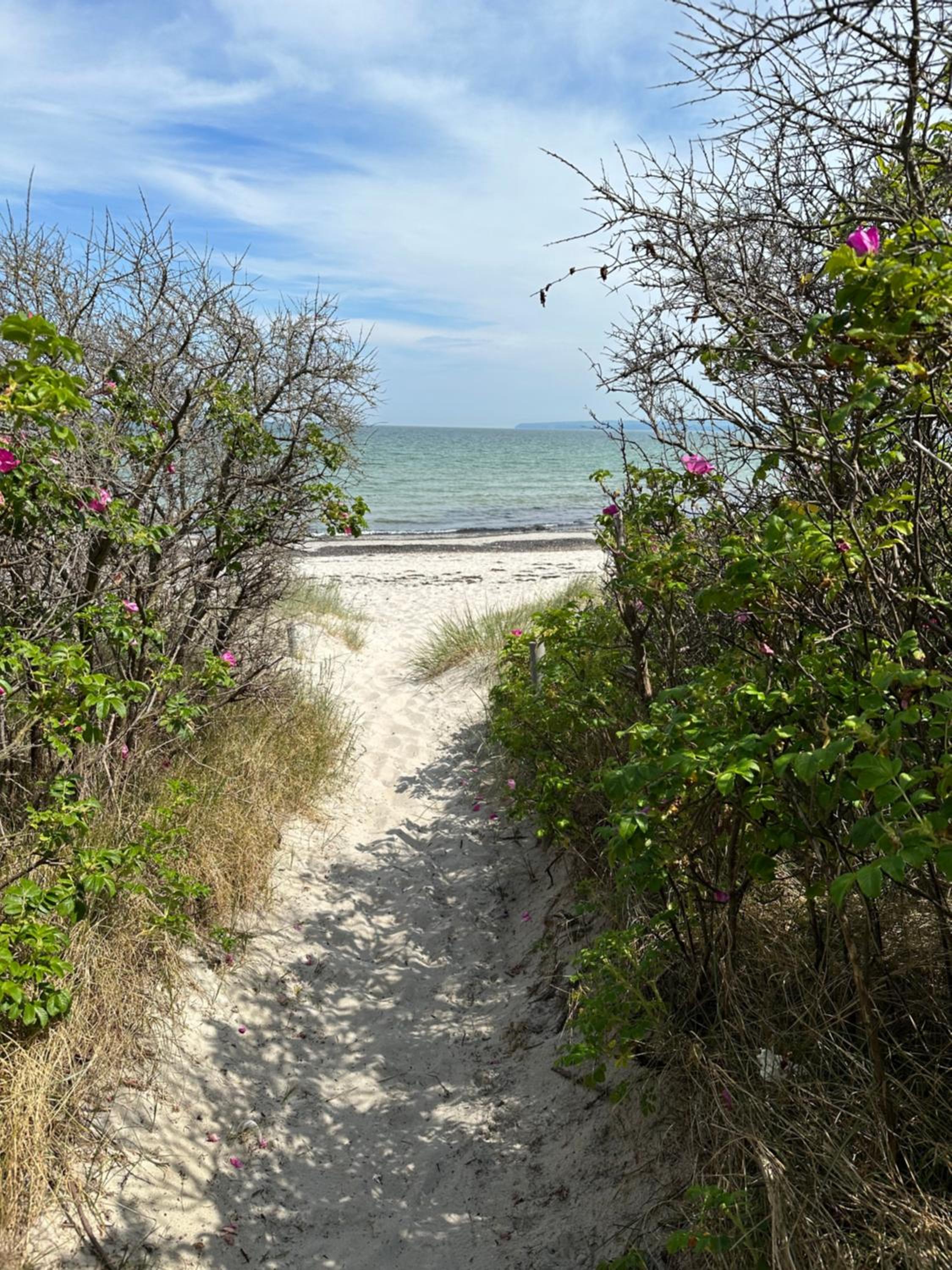 Strandperle