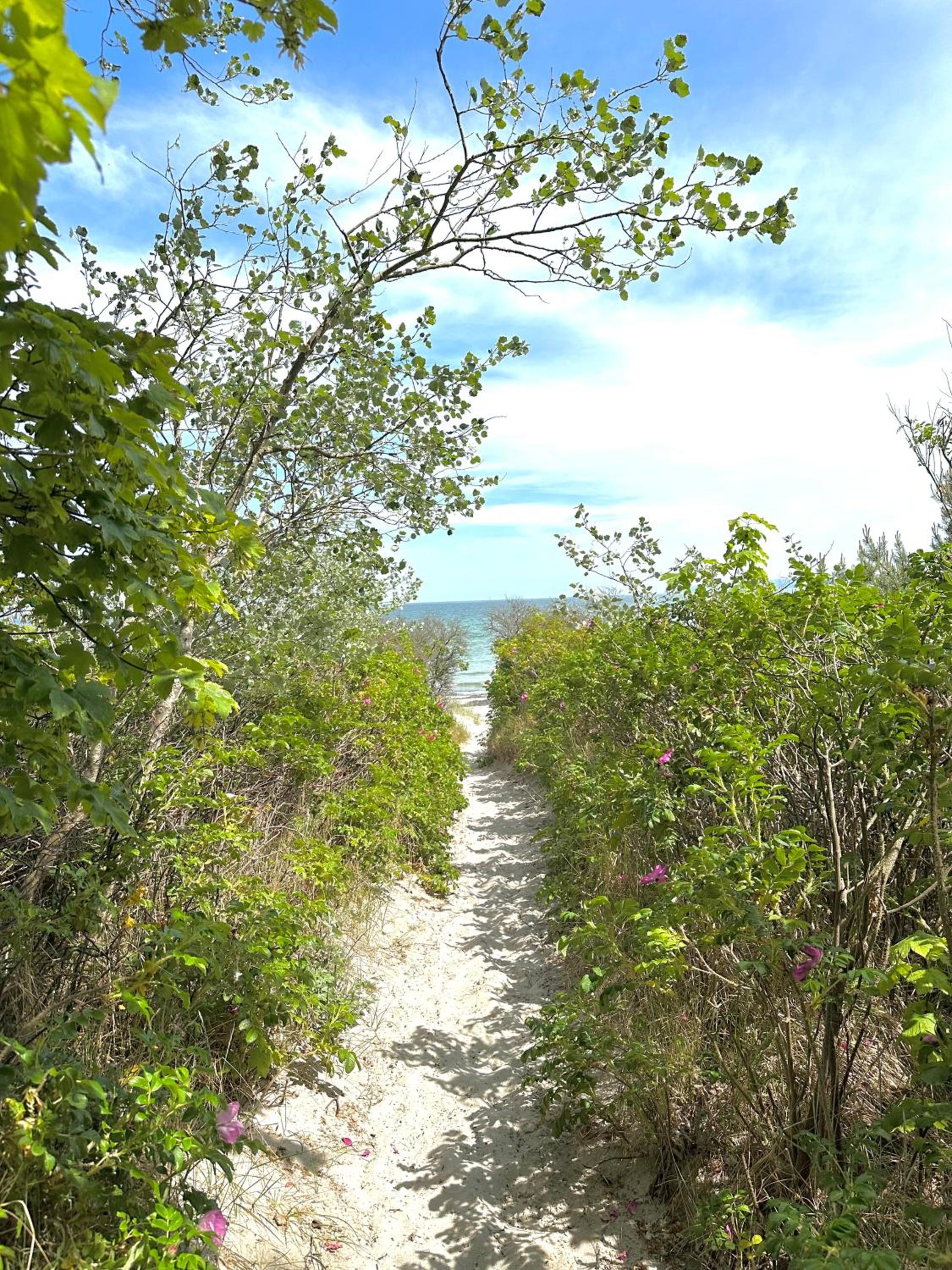 Strandperle