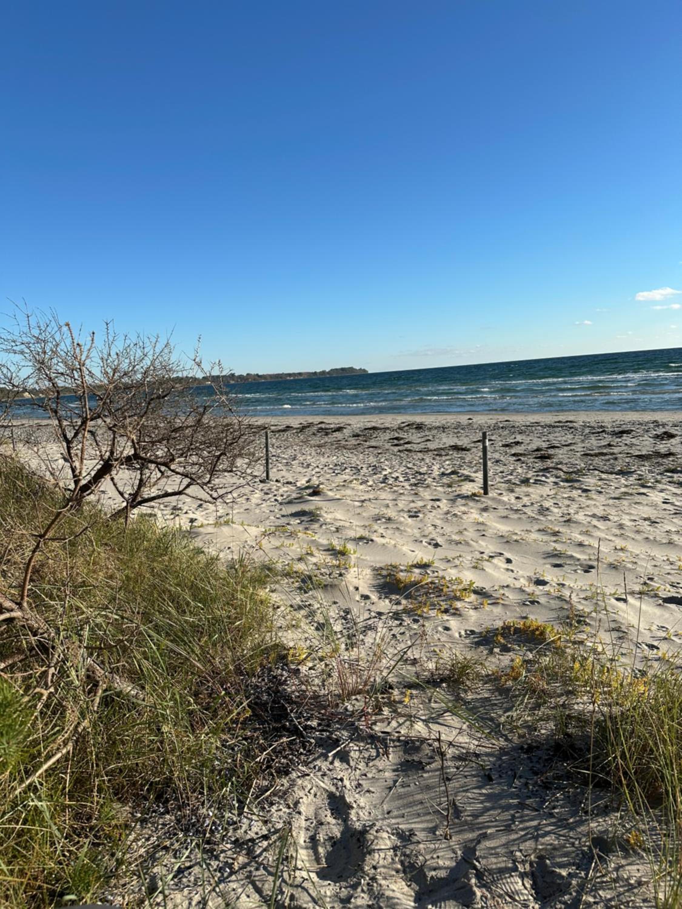 Strandperle