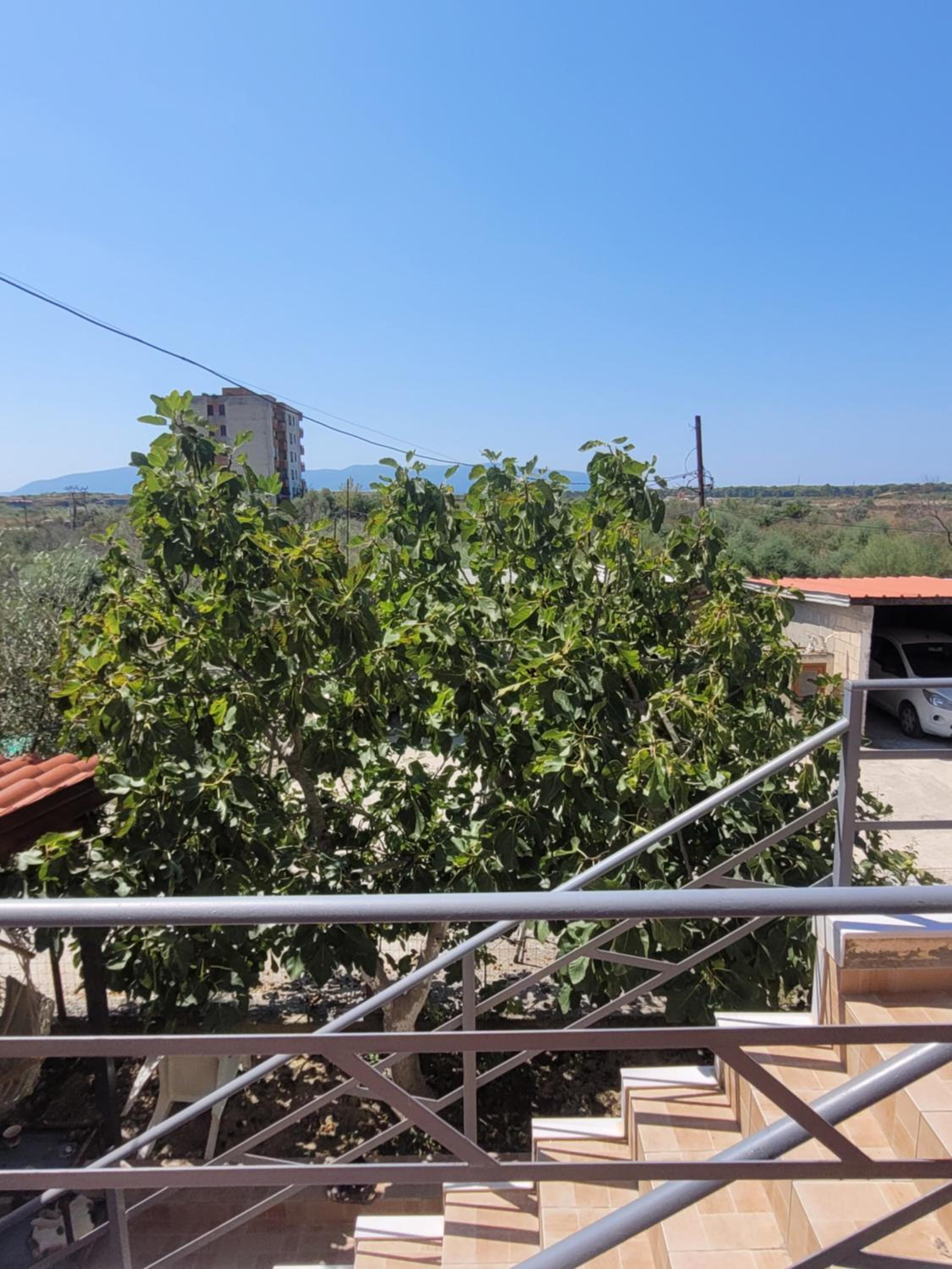 Villa e Shegës
