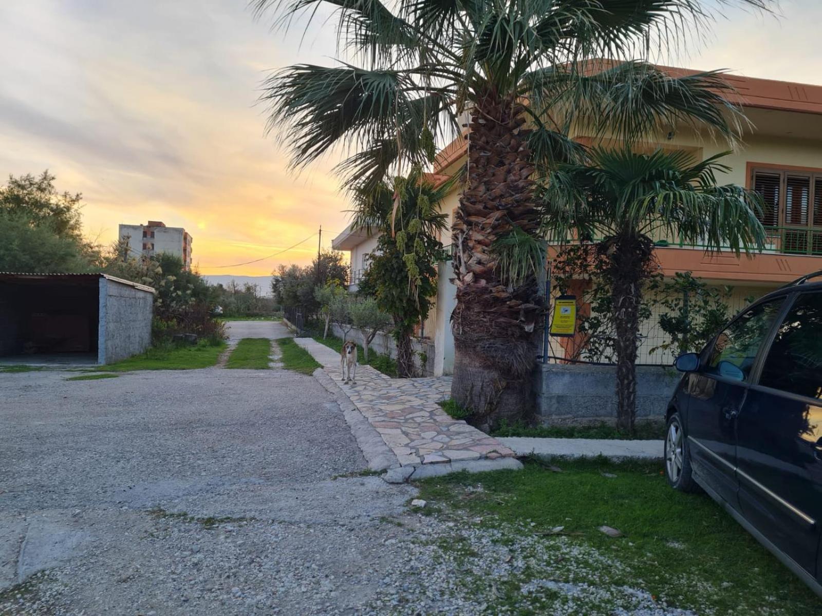 Villa e Shegës