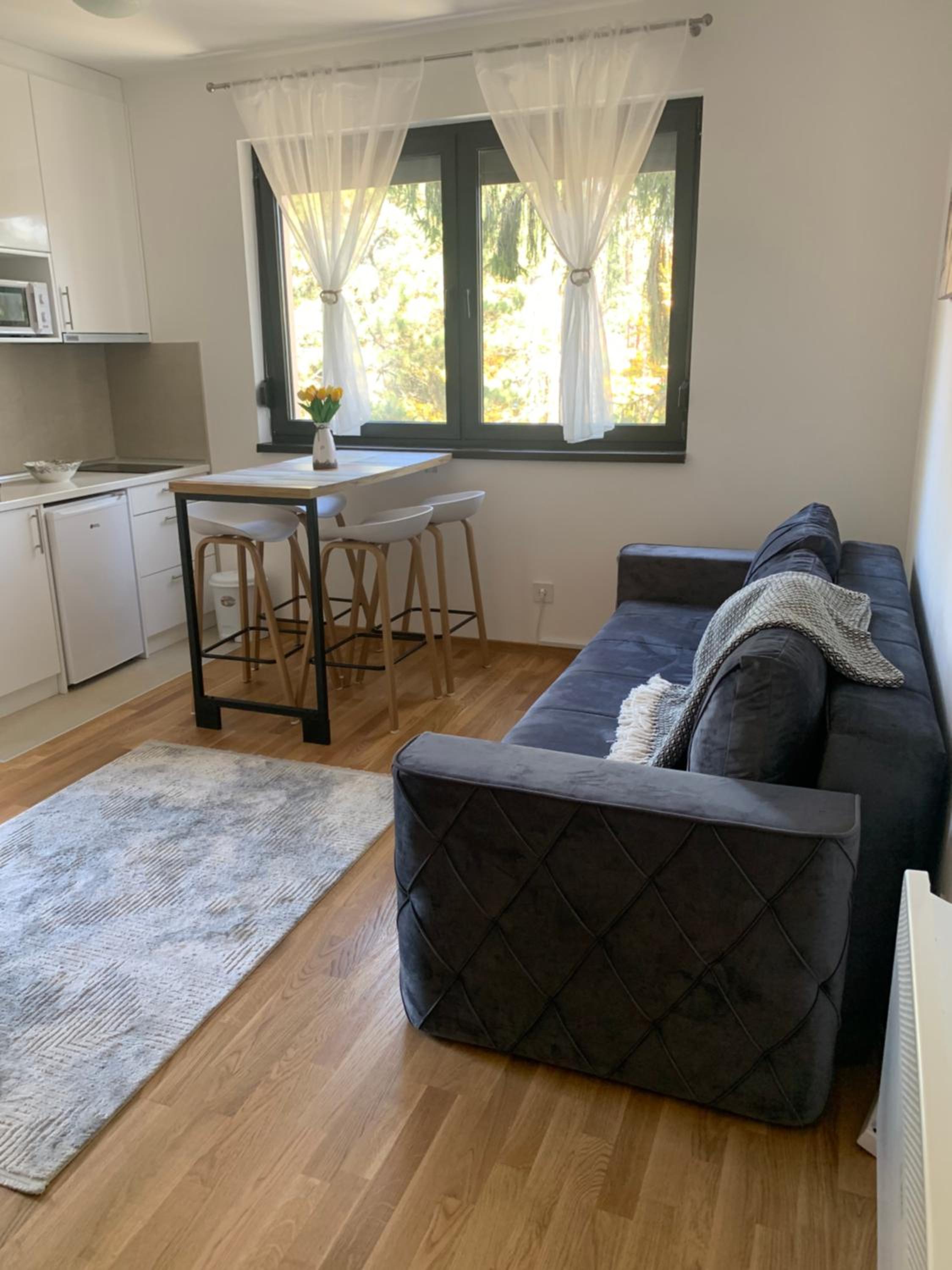 Apartman Milana