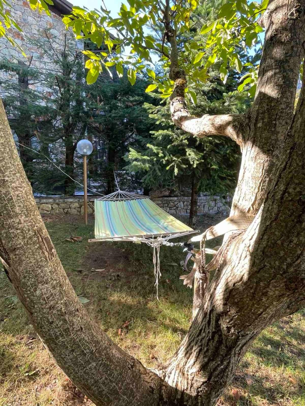 Pinecone Lodge, Eptalofos Wellness Garden Chalet