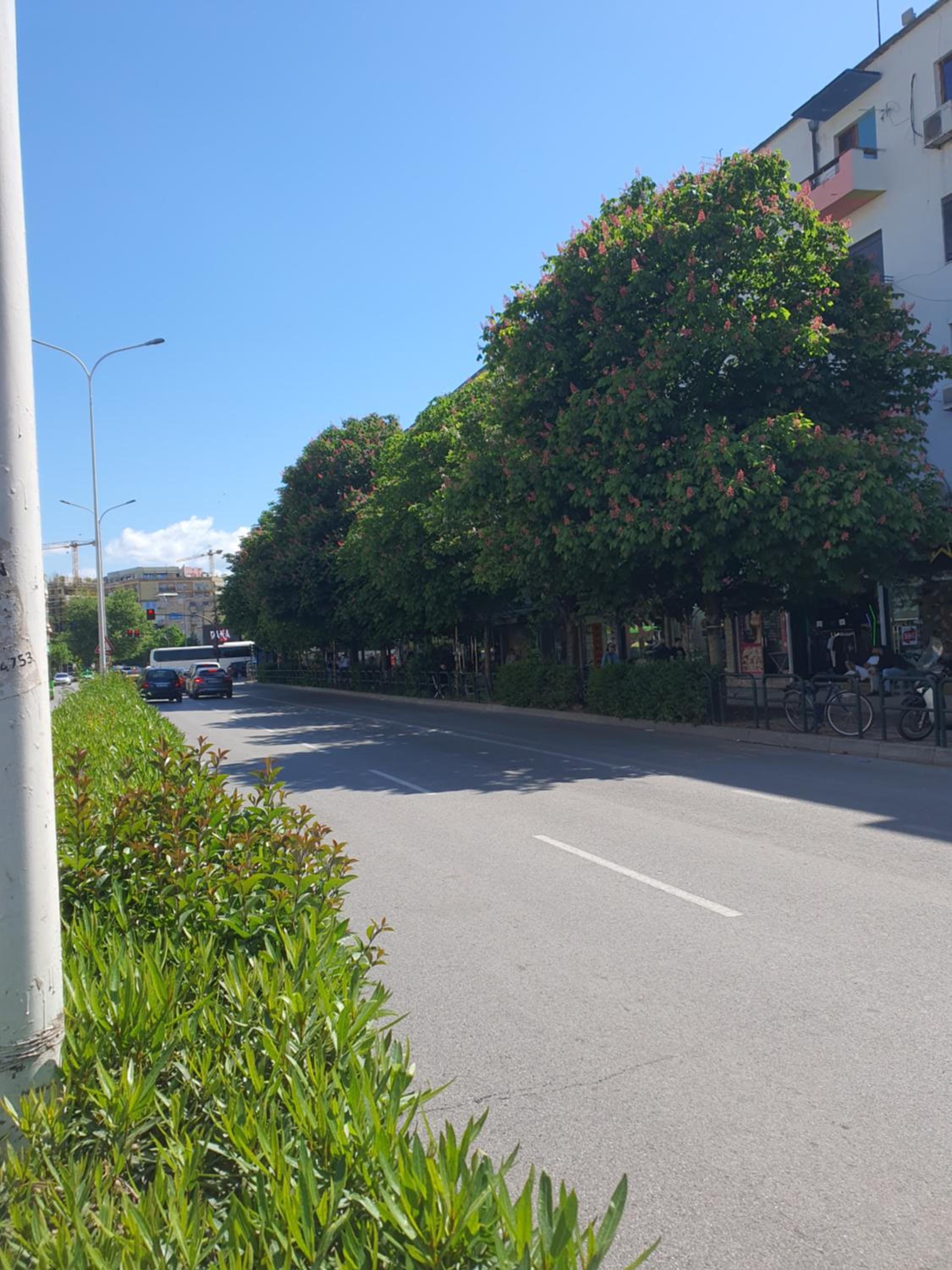 Main Street Apartment