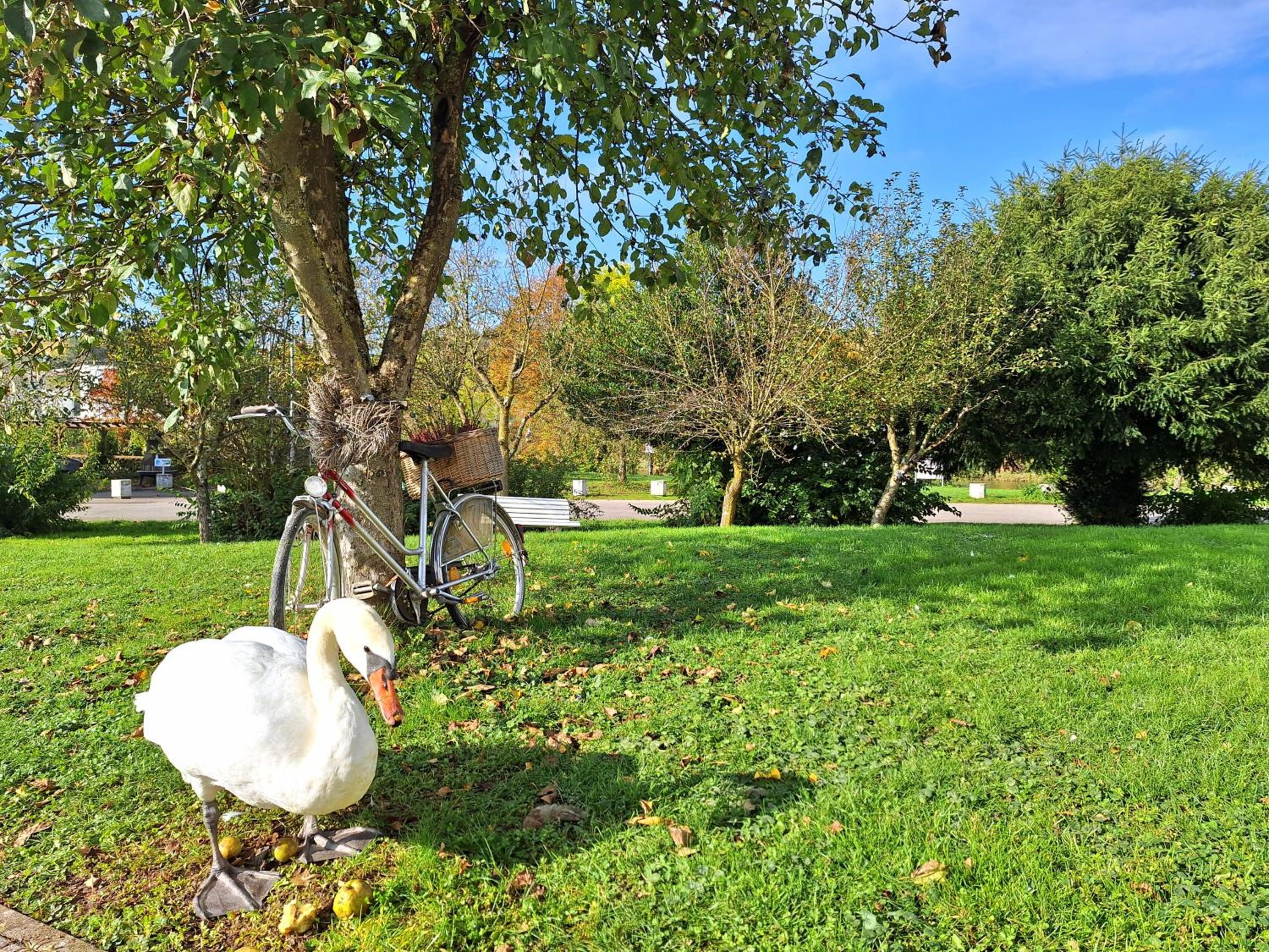 Ferienwohnungen CASA TAMALTIO am Moselradweg - Nähe Trier und Luxemburg