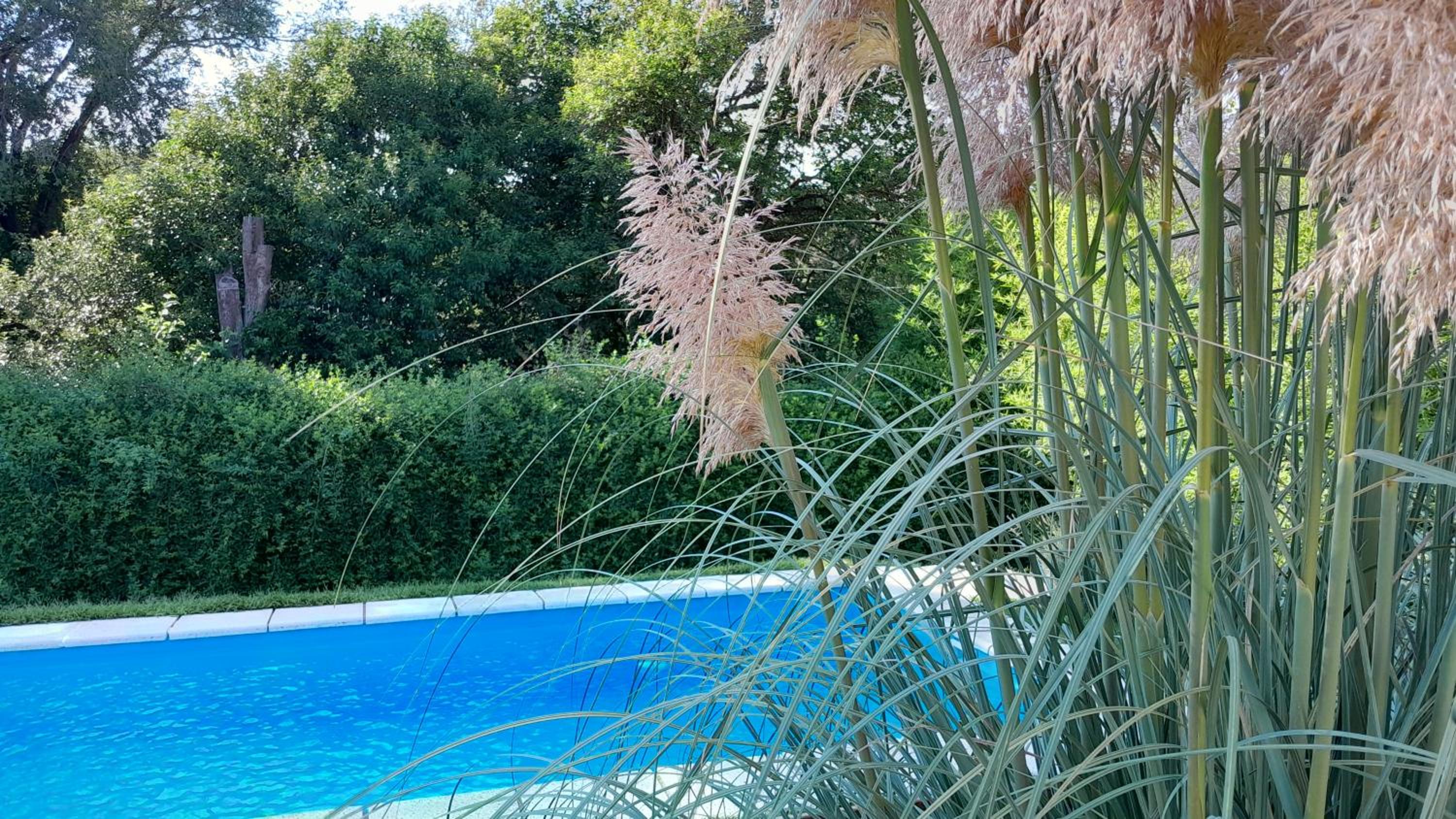 Chalet El Buho