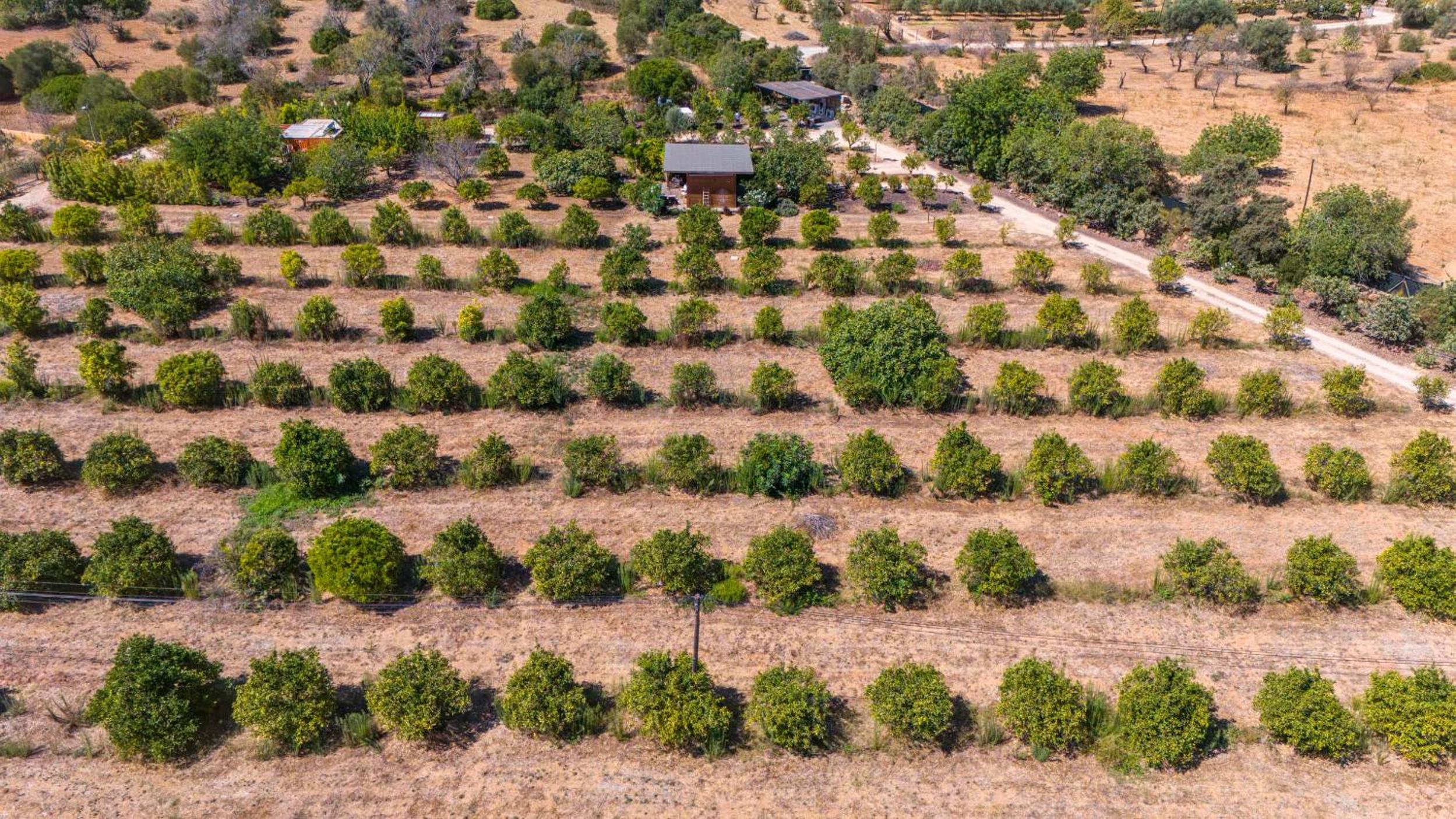 Laranjal Farm House - Laranjal Studio 2 view 4