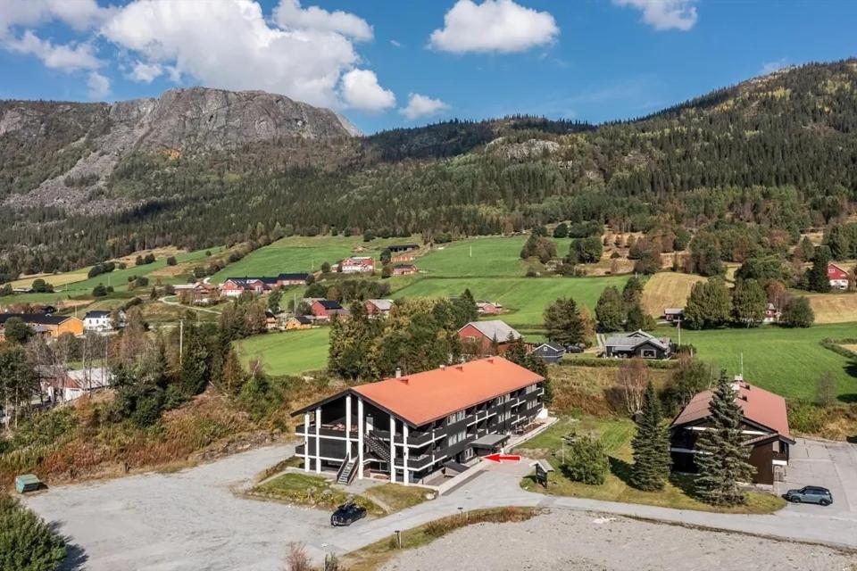 Storehorn Apartments Hemsedal view 4