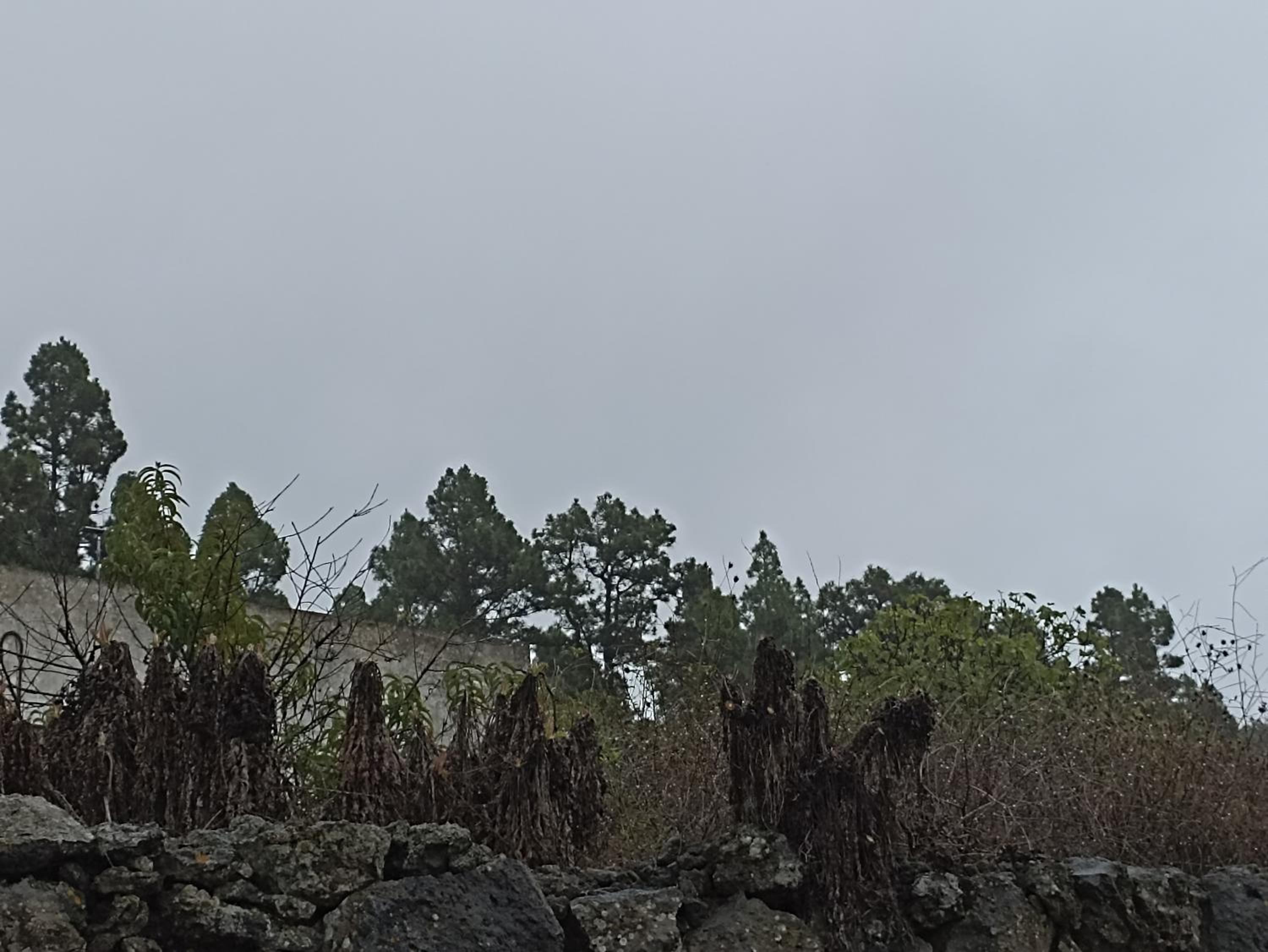 La Hernandera