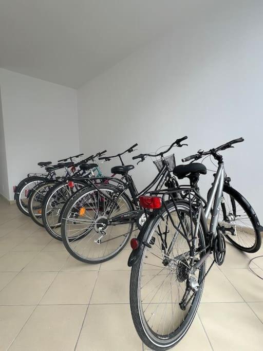 Luxury Apartment Shkoder