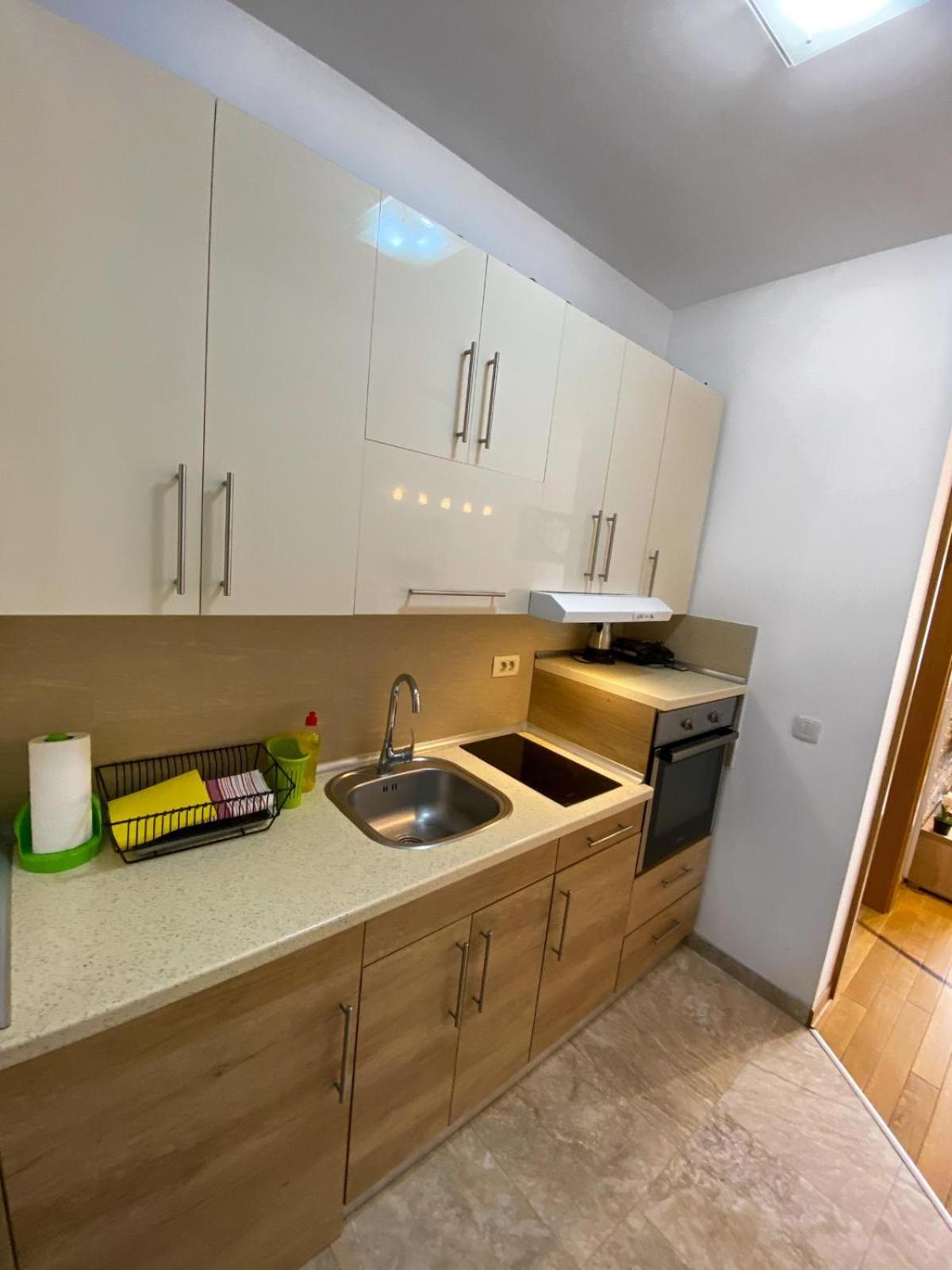 Apartman Stamenkovic view 5