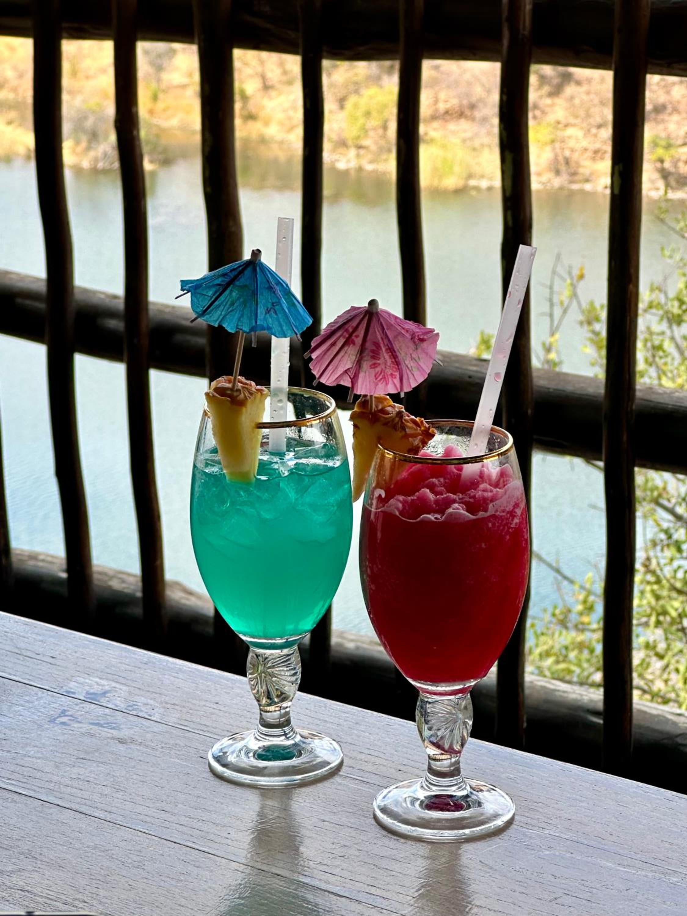 Mabalingwe Nature Reserve - Elephant Lodge - Tjaila