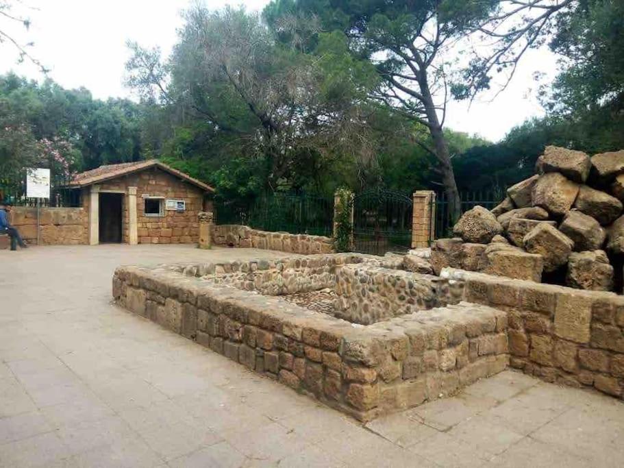 Appartement Ruines Romaines tipasa