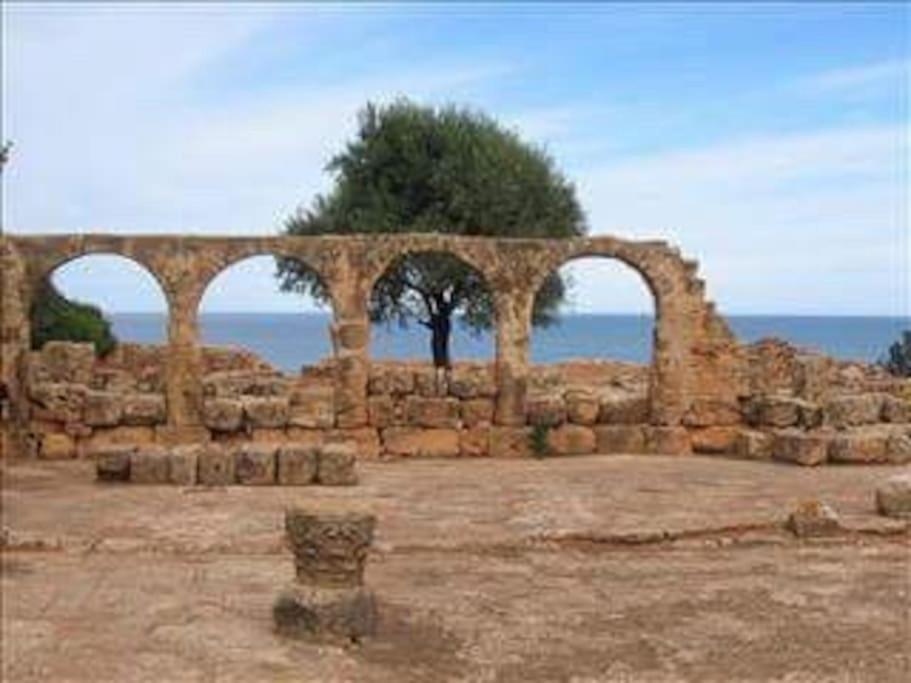 Appartement Ruines Romaines tipasa