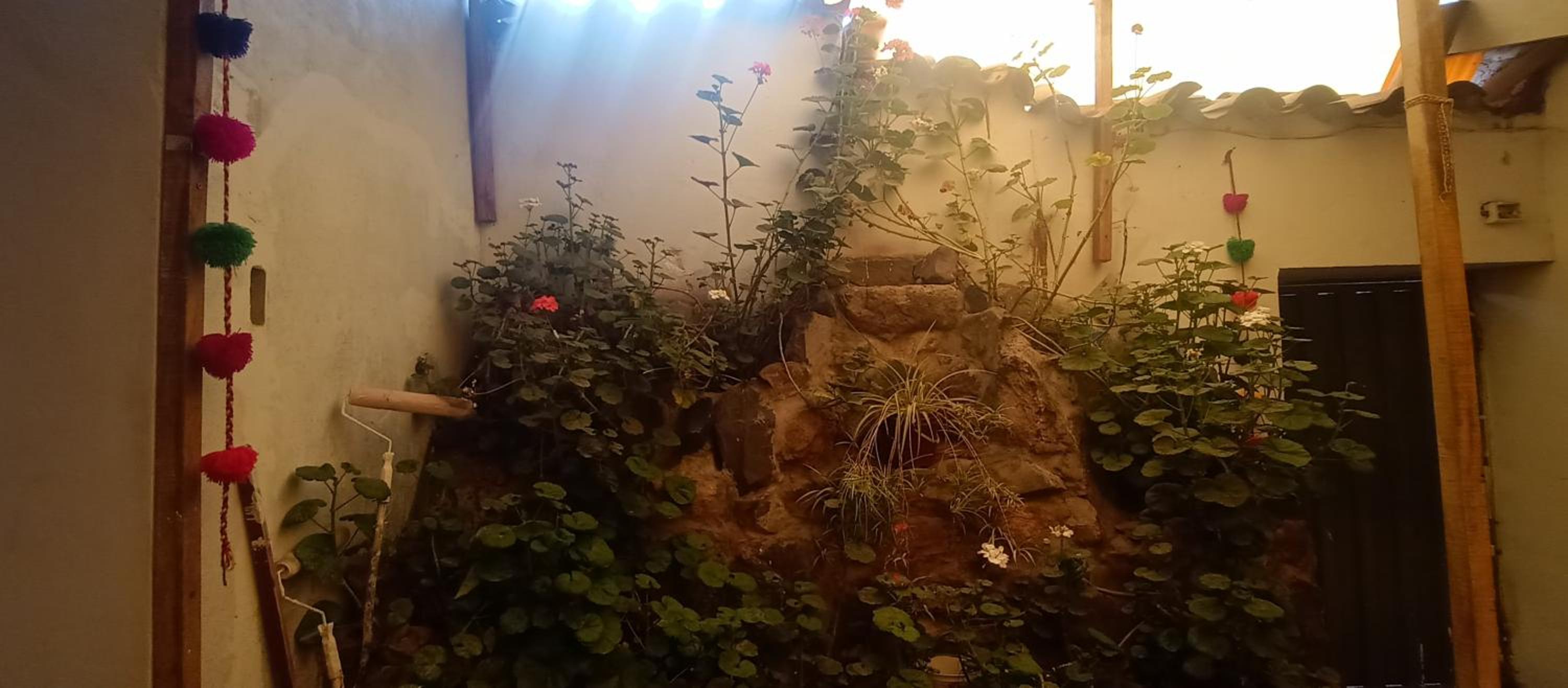Hospedaje Rosita INN