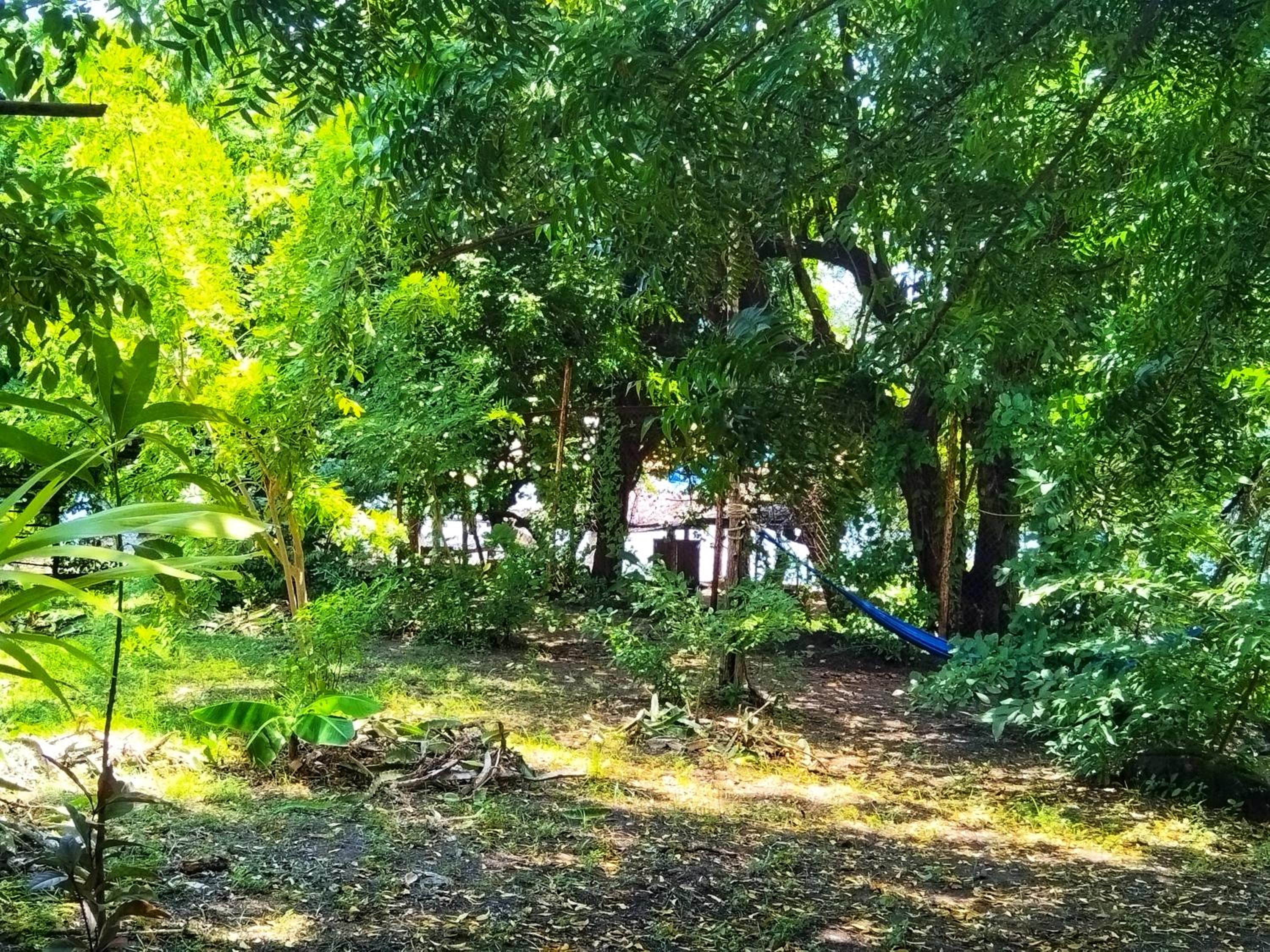Hypnomad Hostel