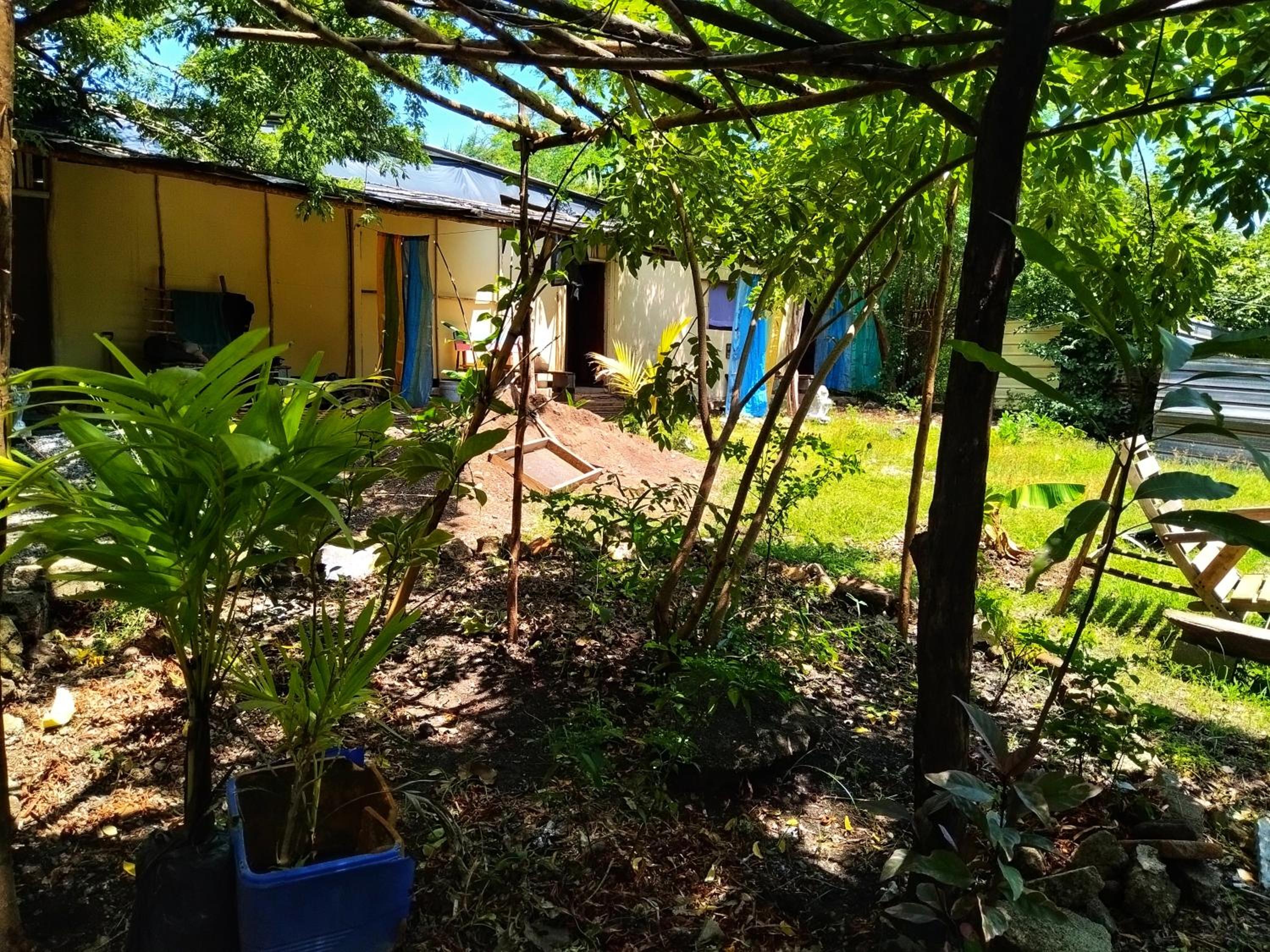 Hypnomad Hostel