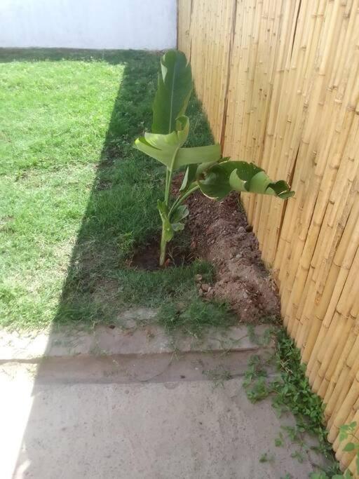 Descubre Salta desde este Duplex acogedor