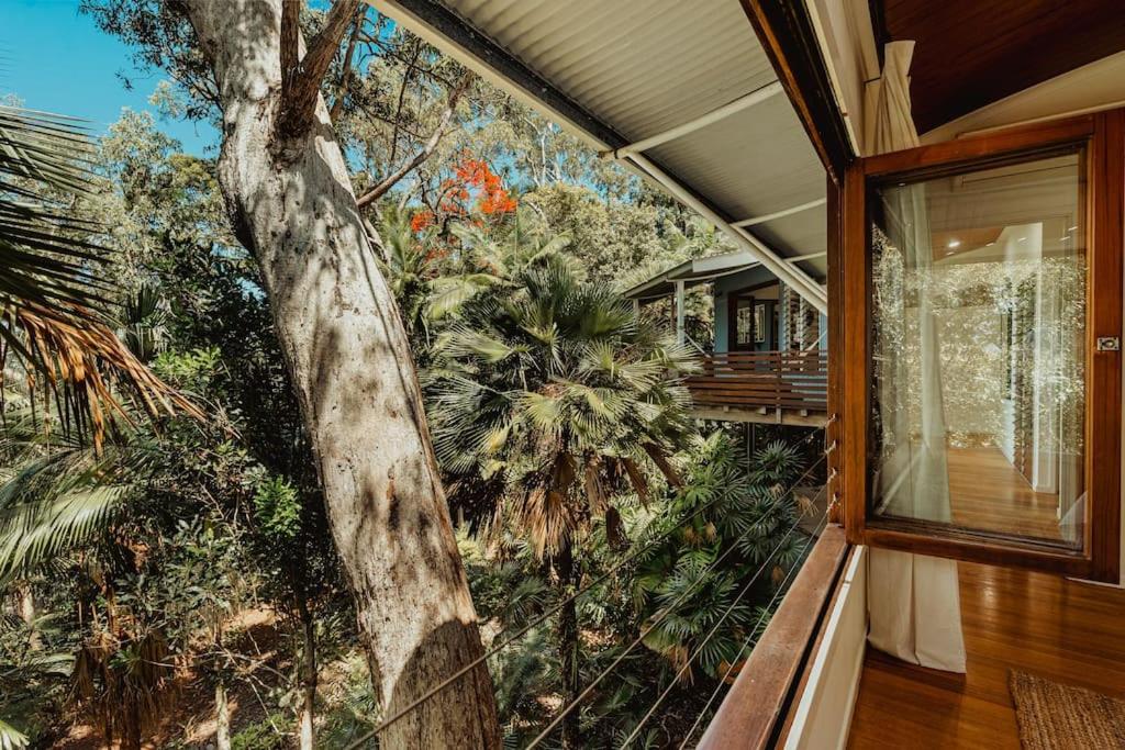 Reinwood Retreat - A home Nestled in the Treetops of a Rainforest