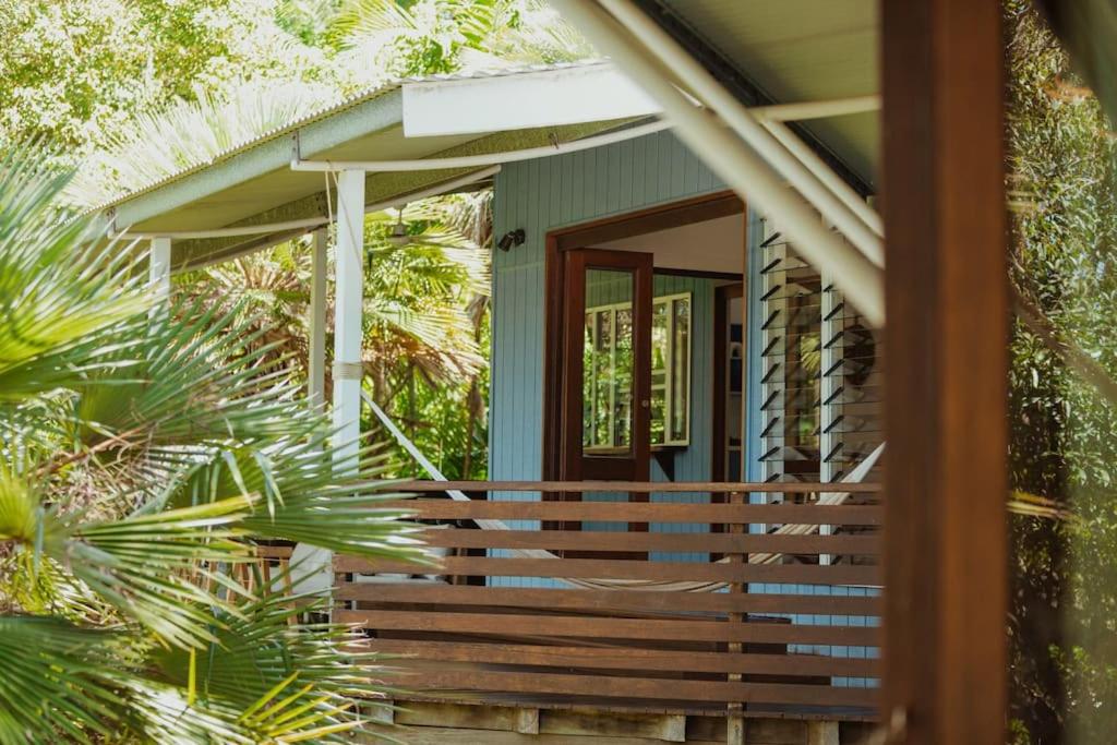 Reinwood Retreat - A home Nestled in the Treetops of a Rainforest