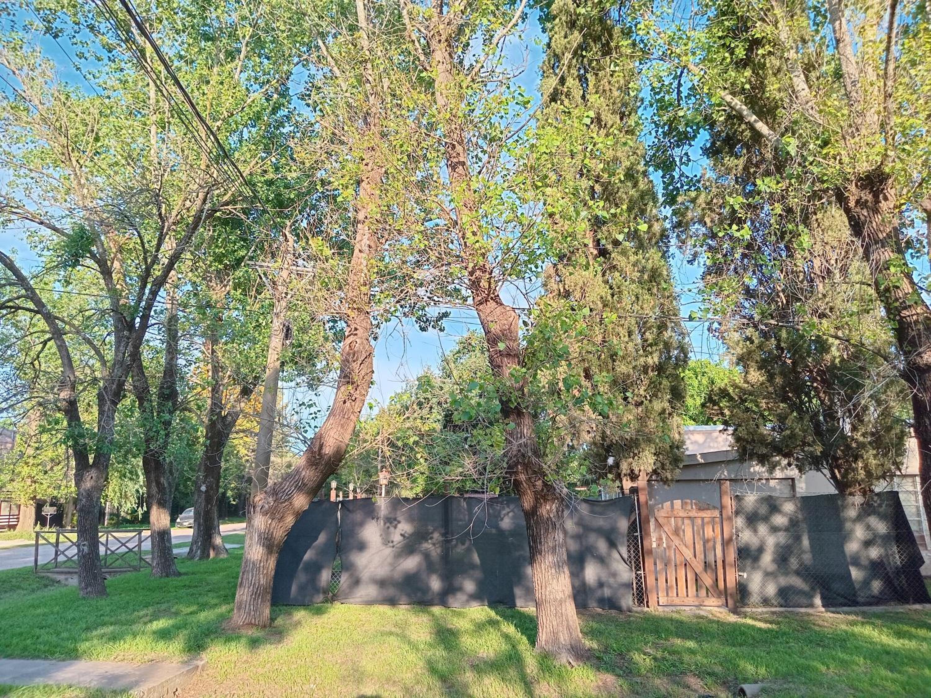 La Casa de Los Dos Pinos