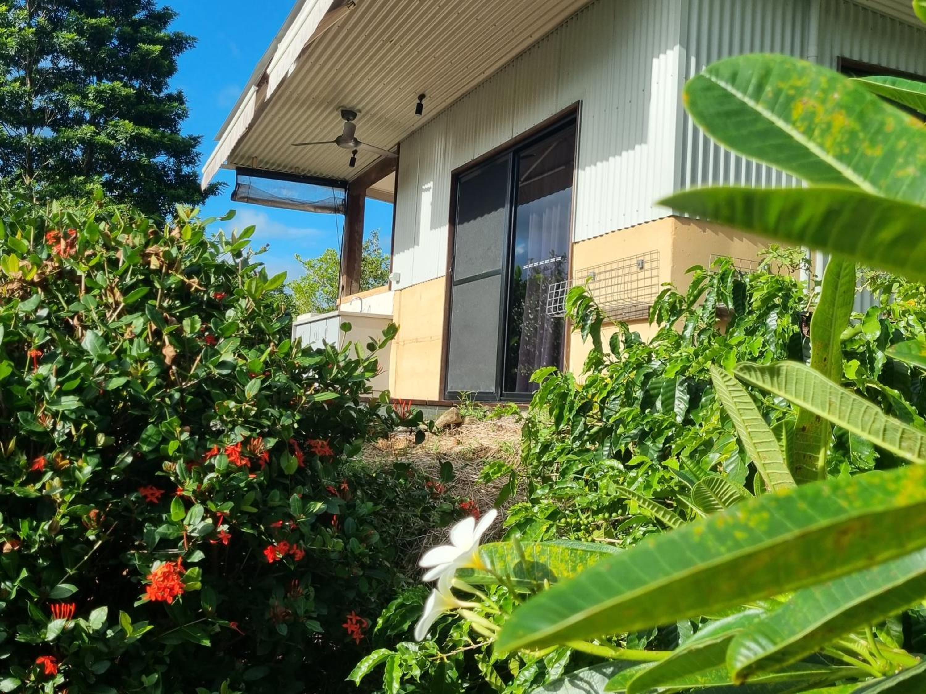 Hotel Wompoo Eco Retreat