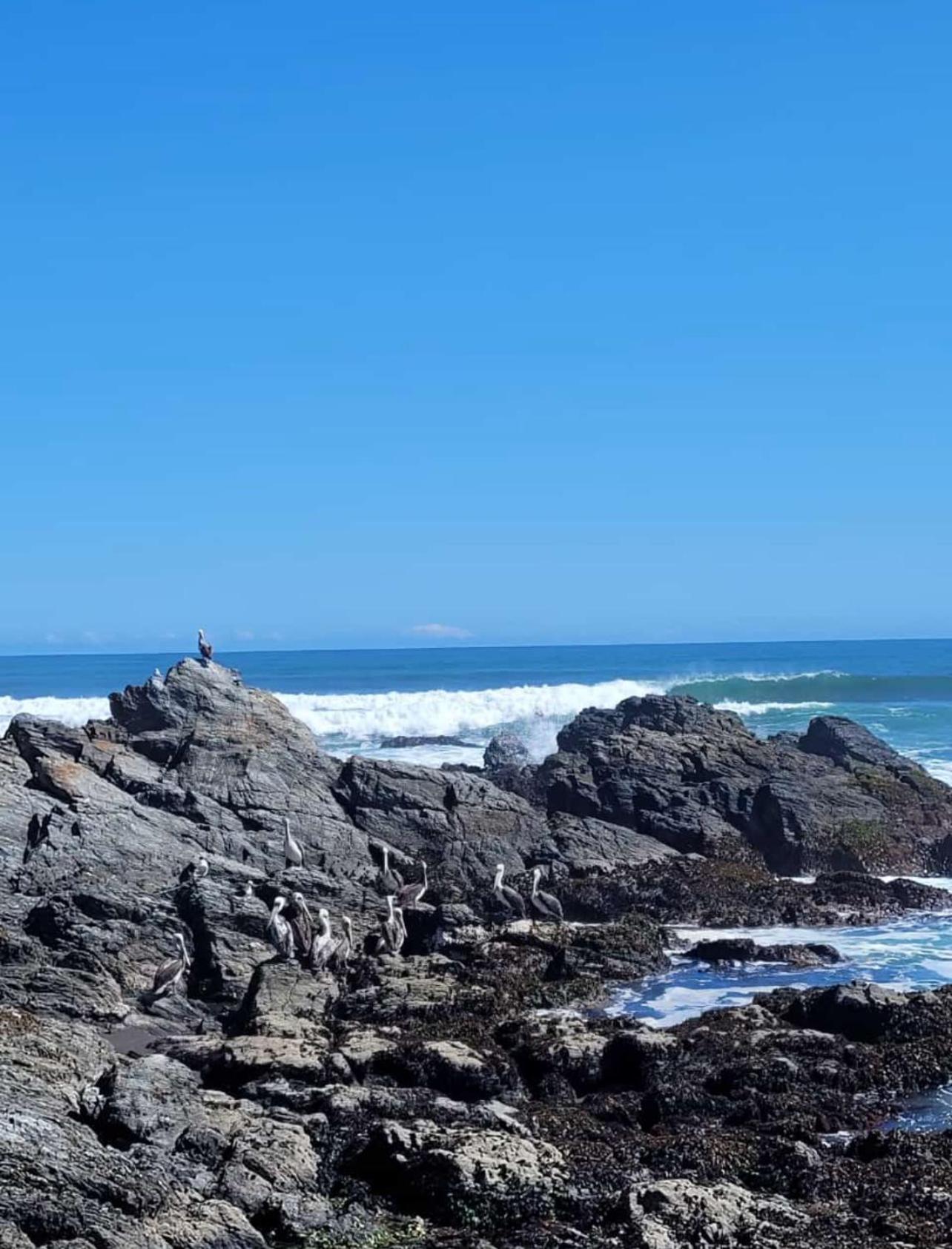 La Cabañita