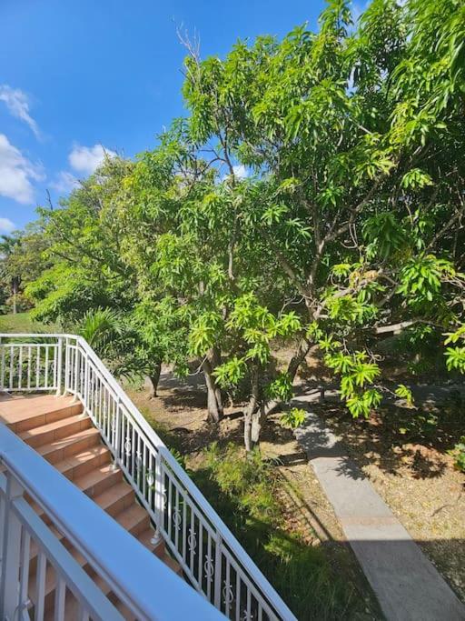 studio La Cocoteraie, vue mer view 5