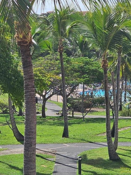 studio La Cocoteraie, vue mer view 4