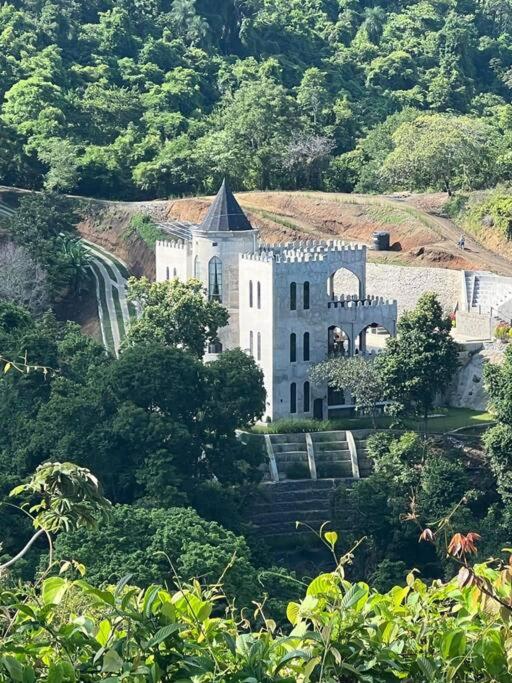 Luxury Castle in the jungle