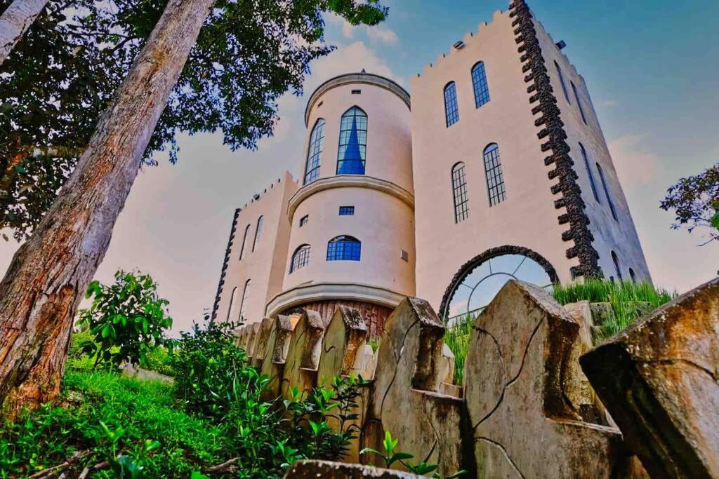 Luxury Castle in the jungle
